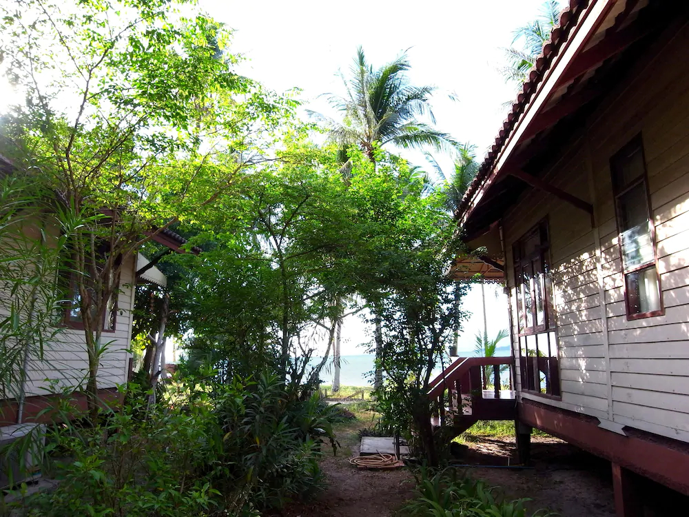 Jasmine & Tea House