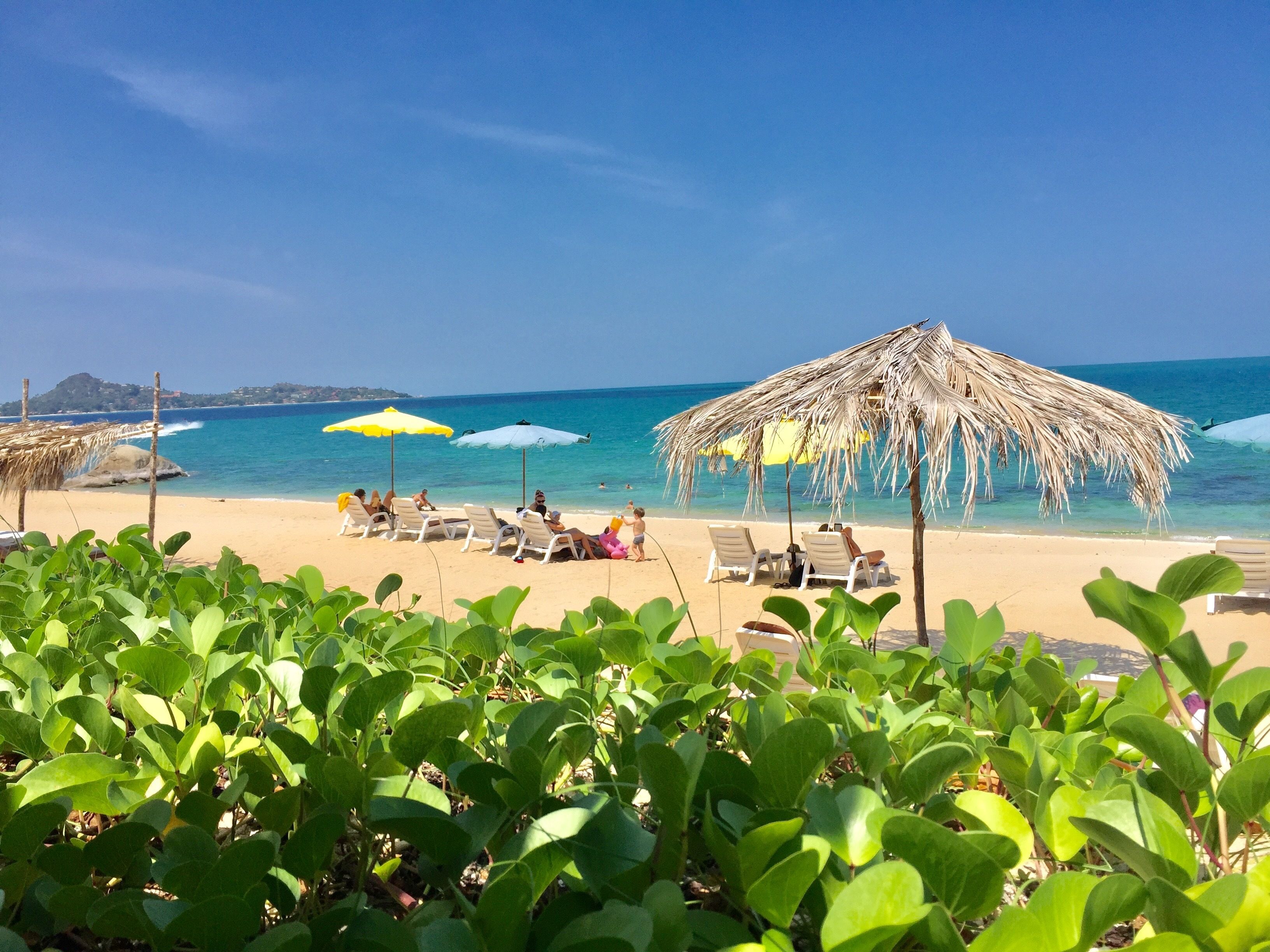 Lamai Chalets