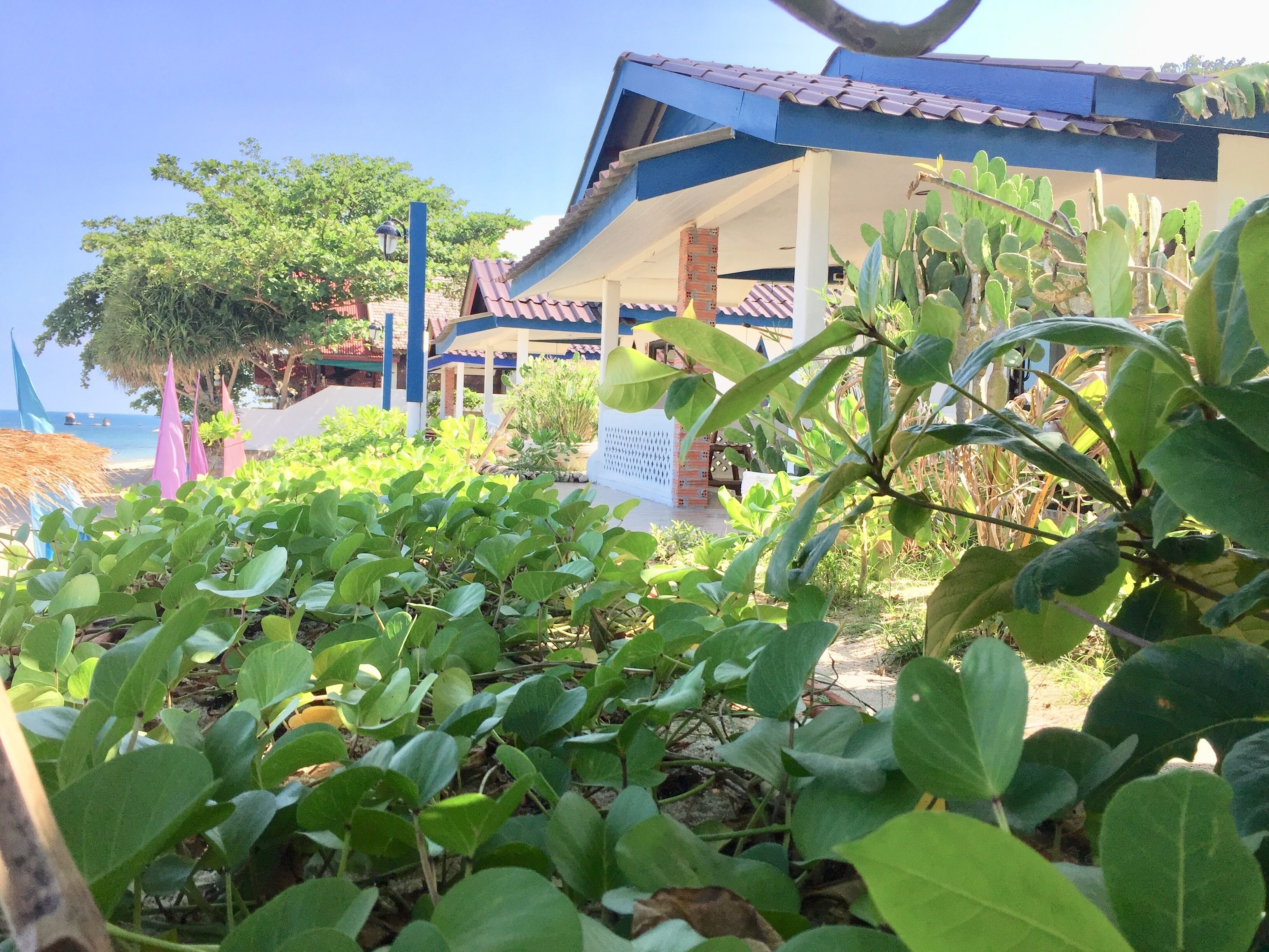 Lamai Chalets