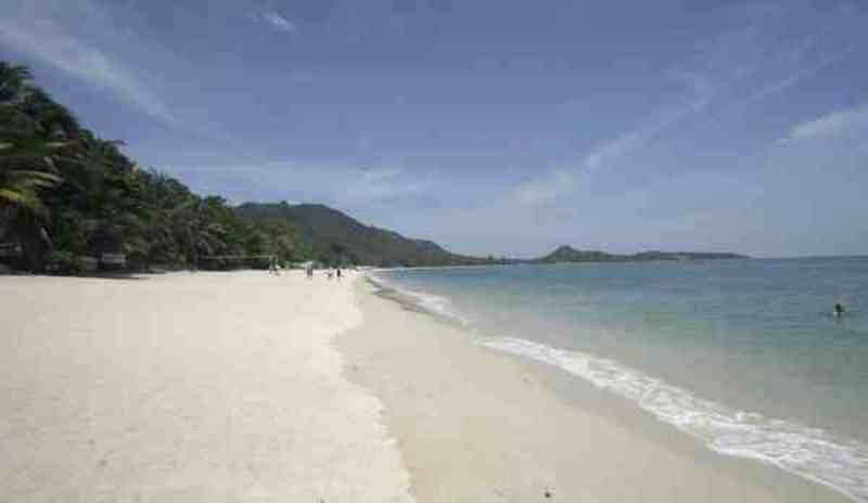 Lamai Inn 99