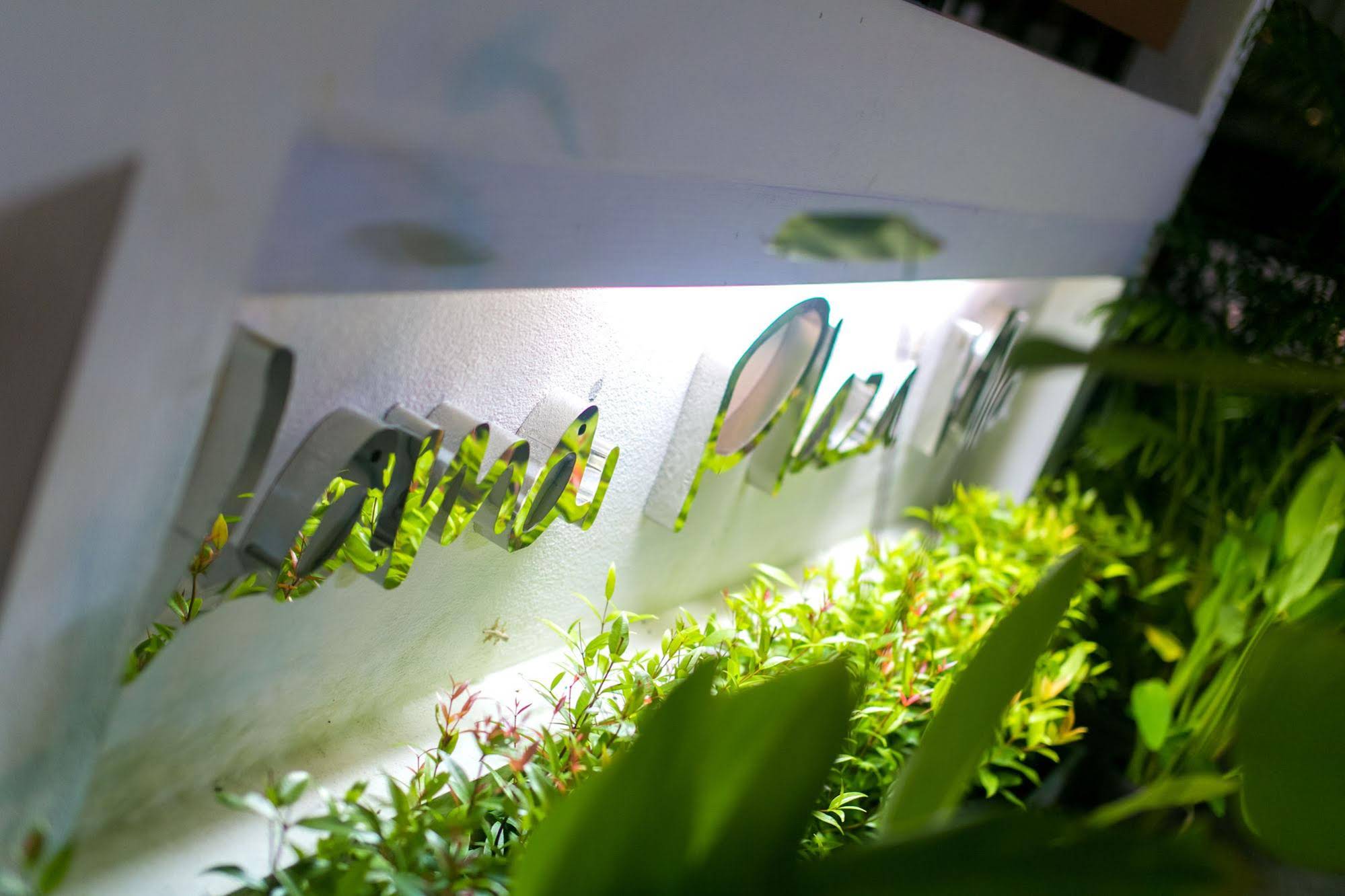 Lamai Plaza Residence