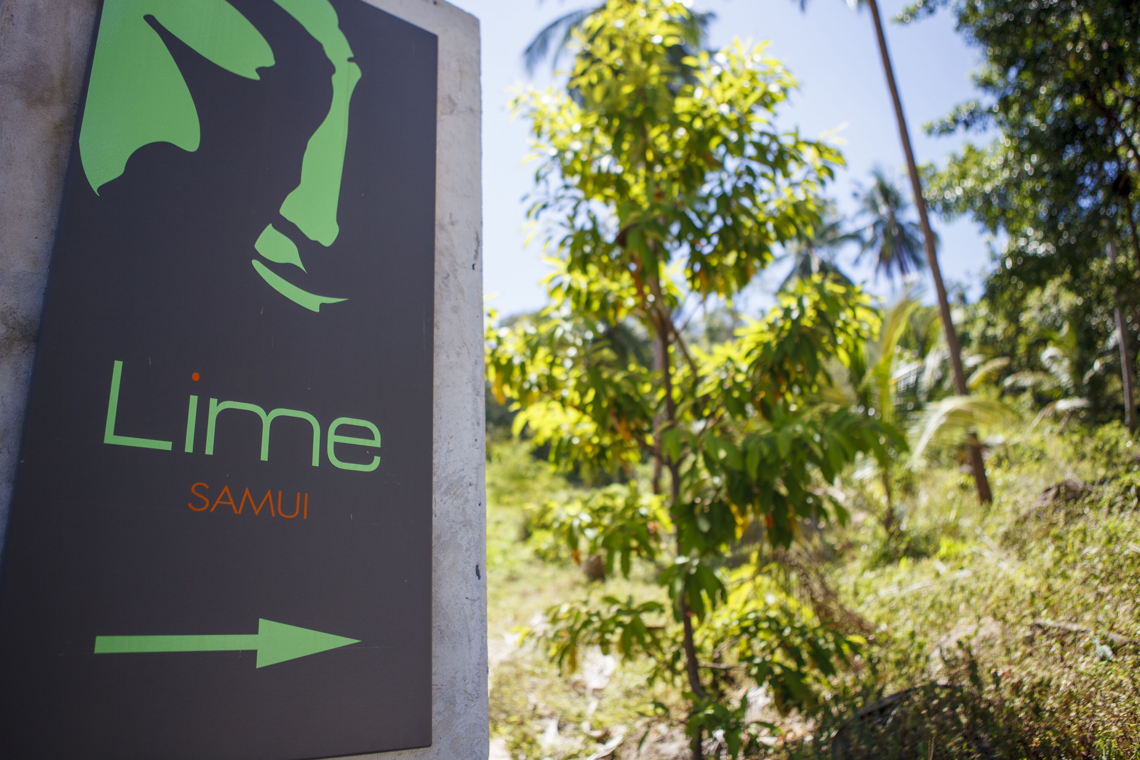 Lime Samui