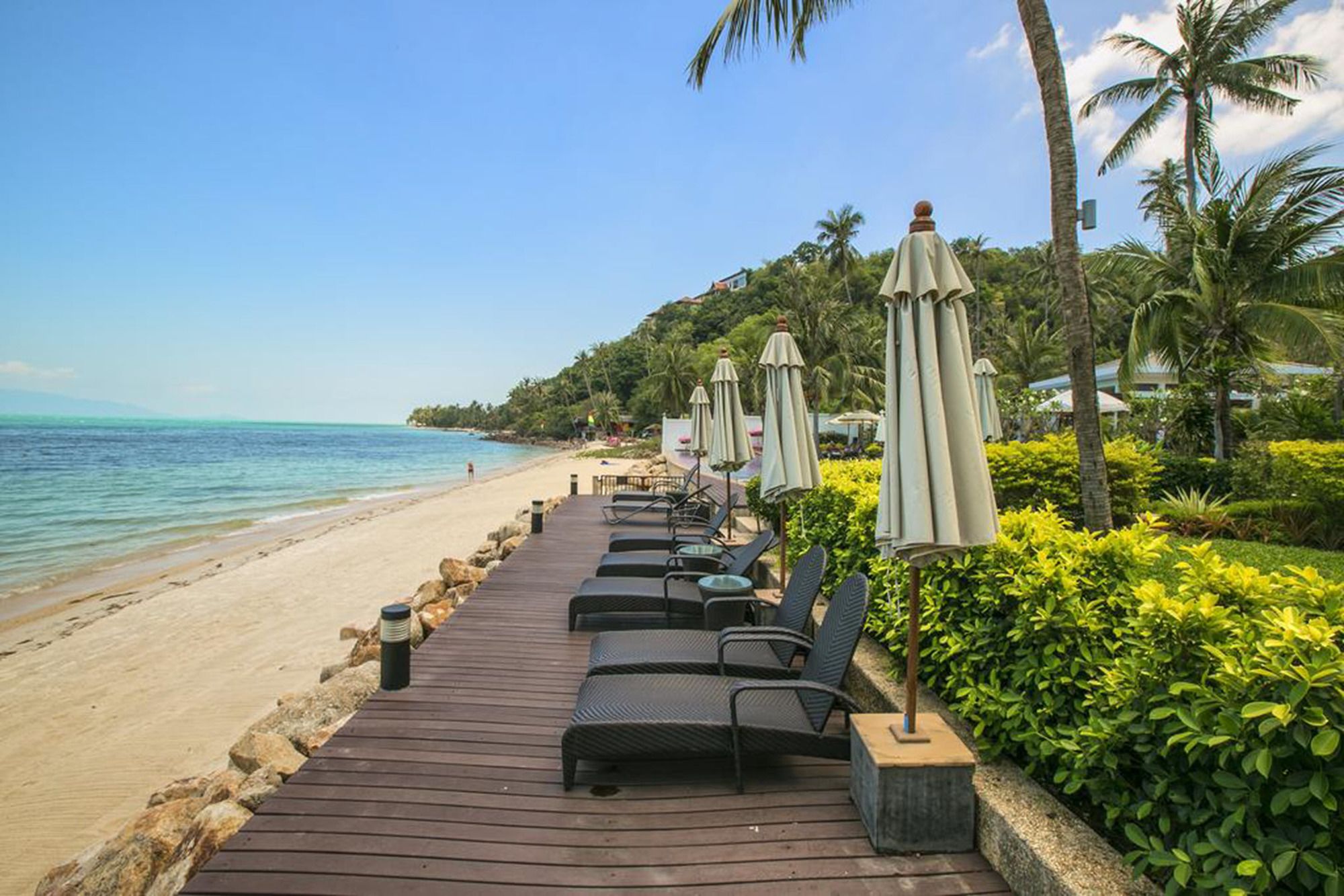 Lotus Samui