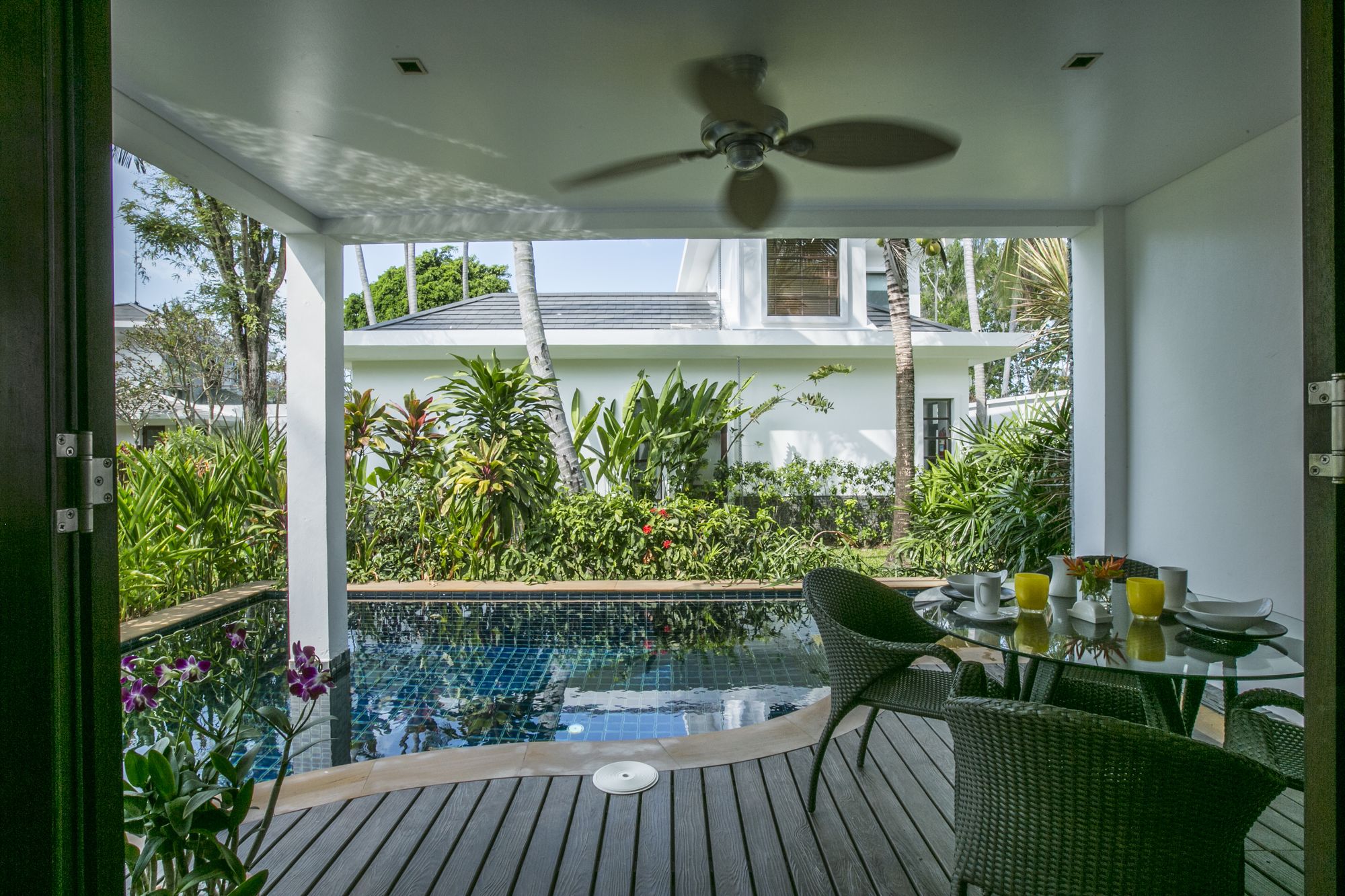 Lotus Samui