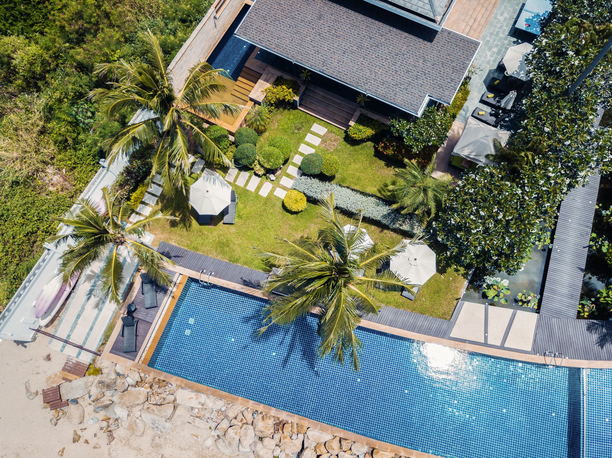 Lotus Samui