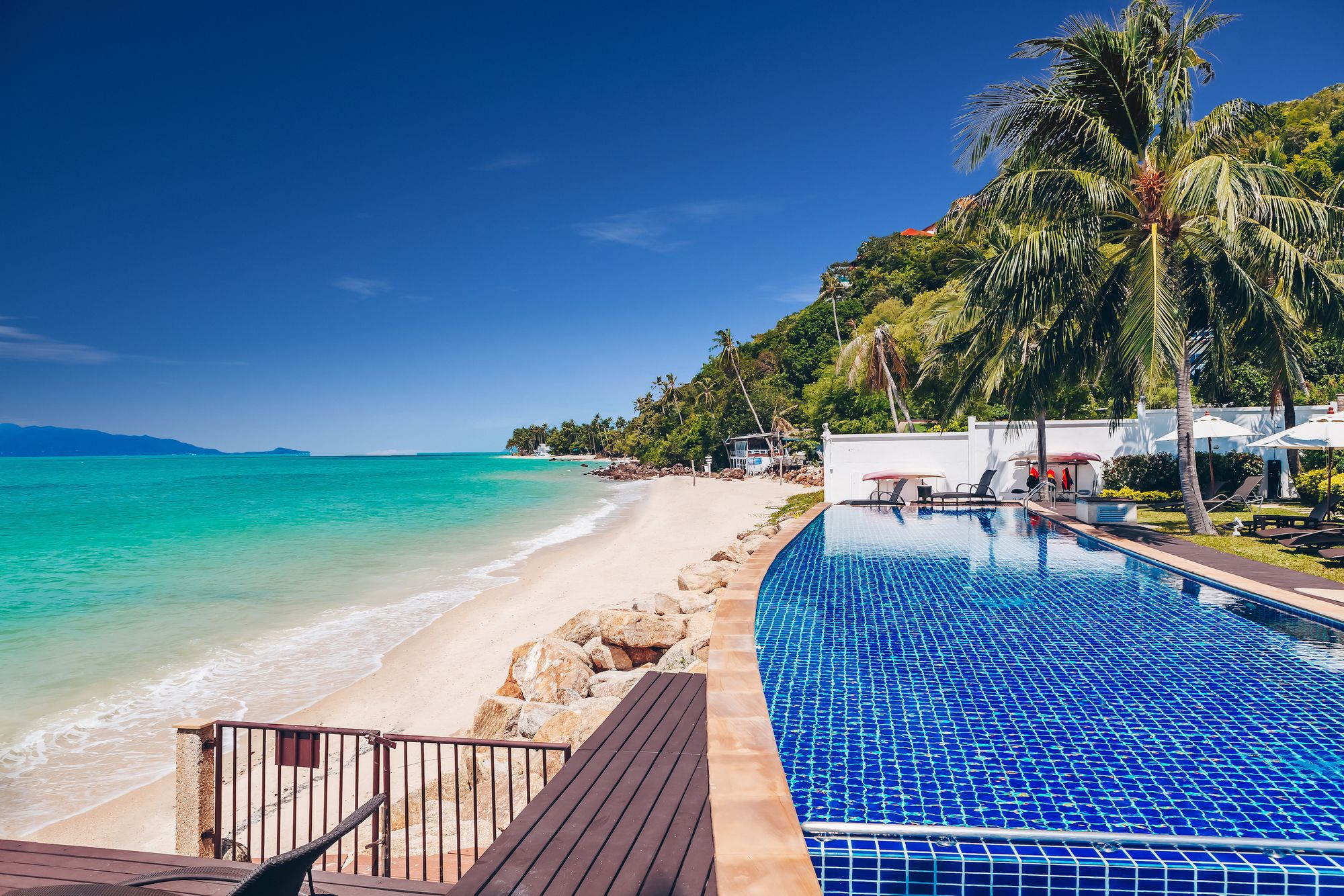 Lotus Samui