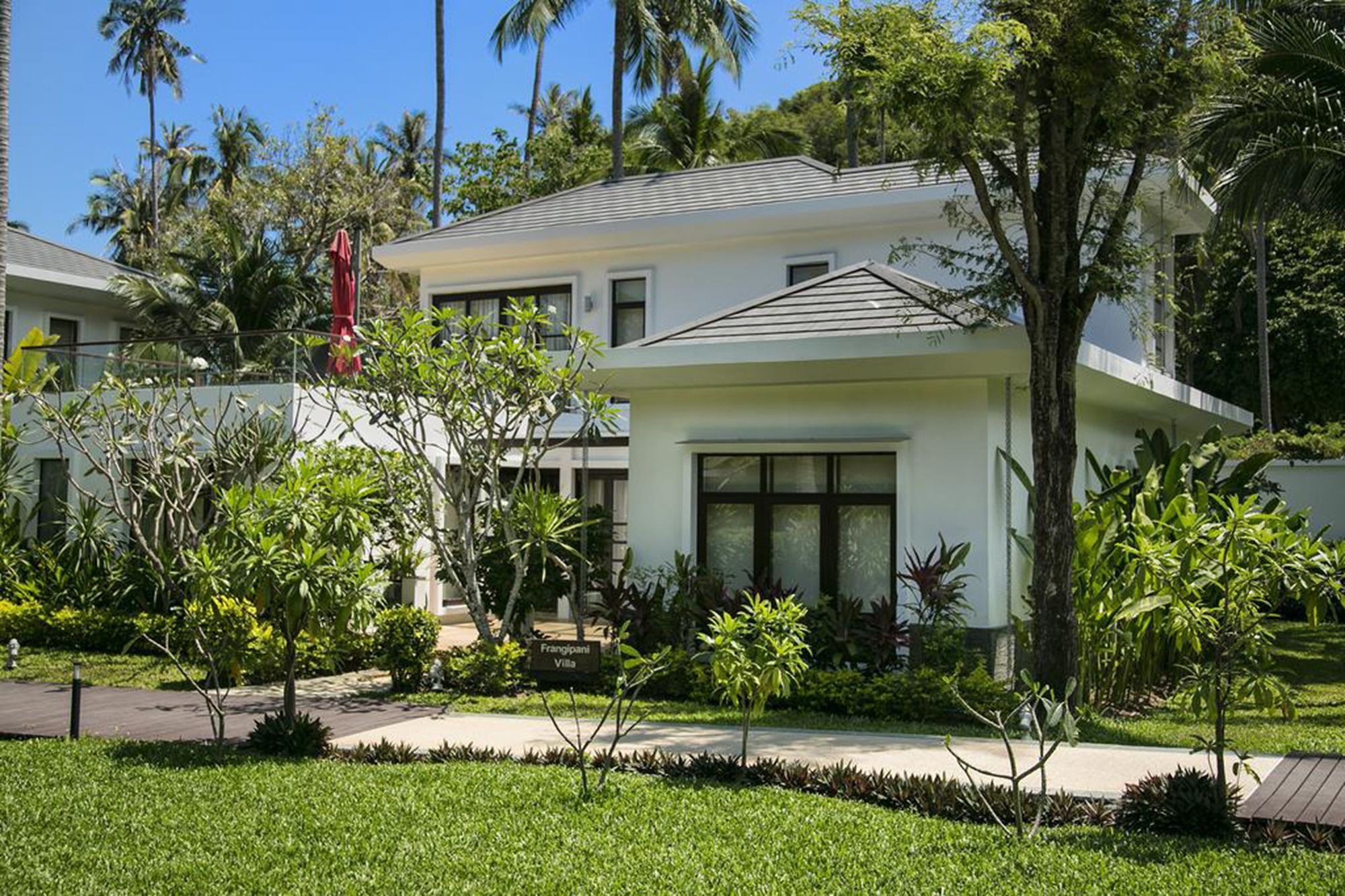 Lotus Samui