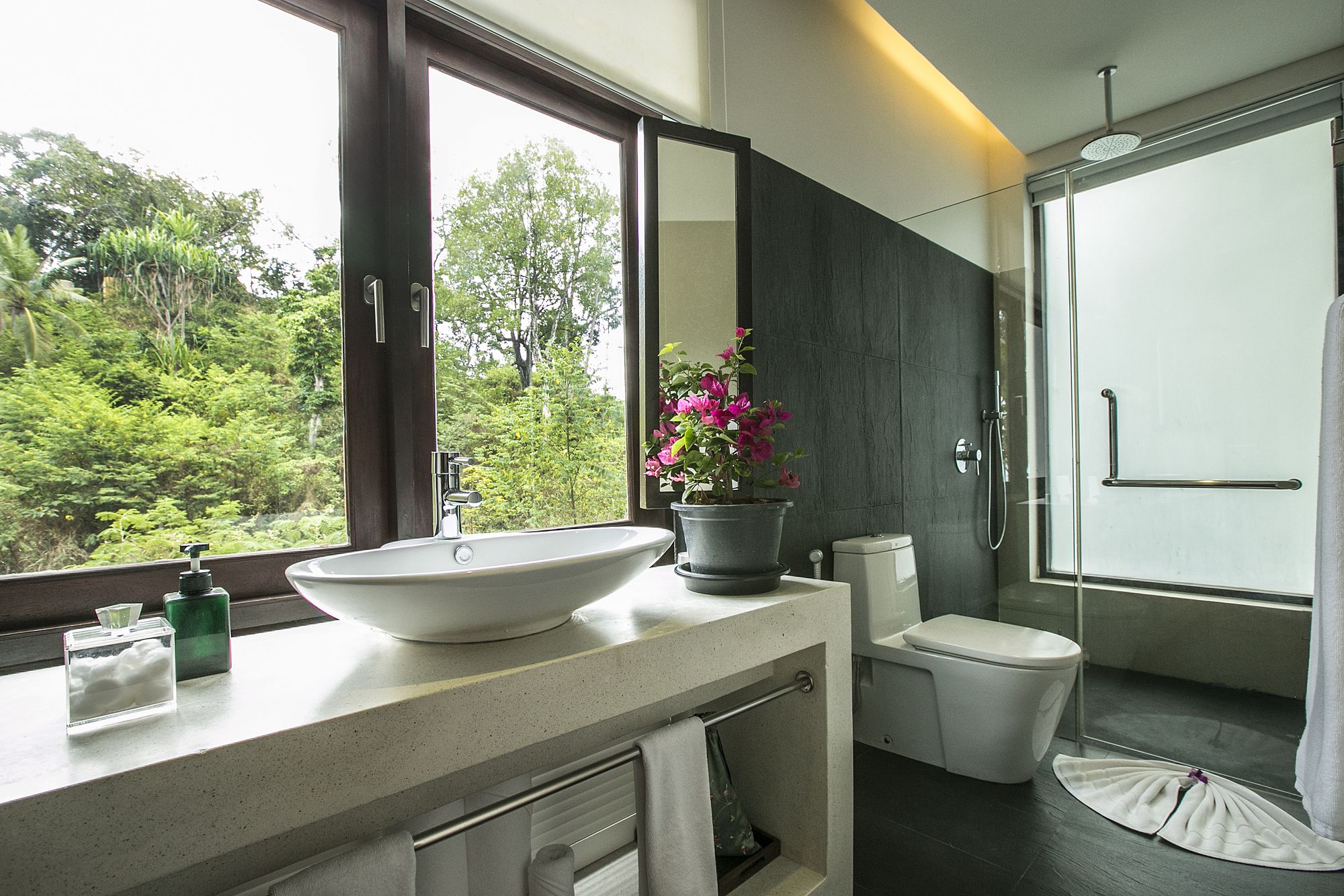 Lotus Samui