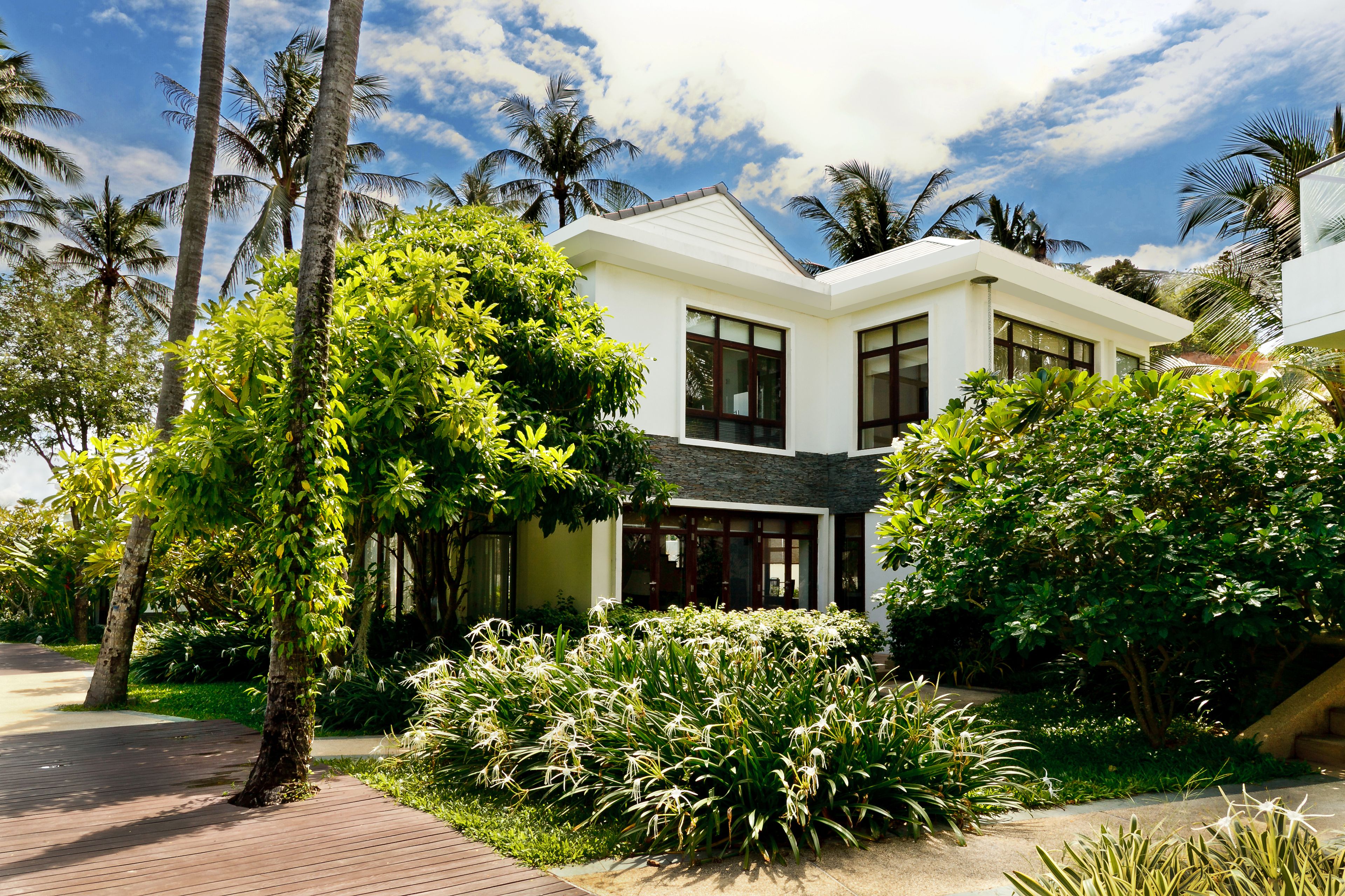 Lotus Samui