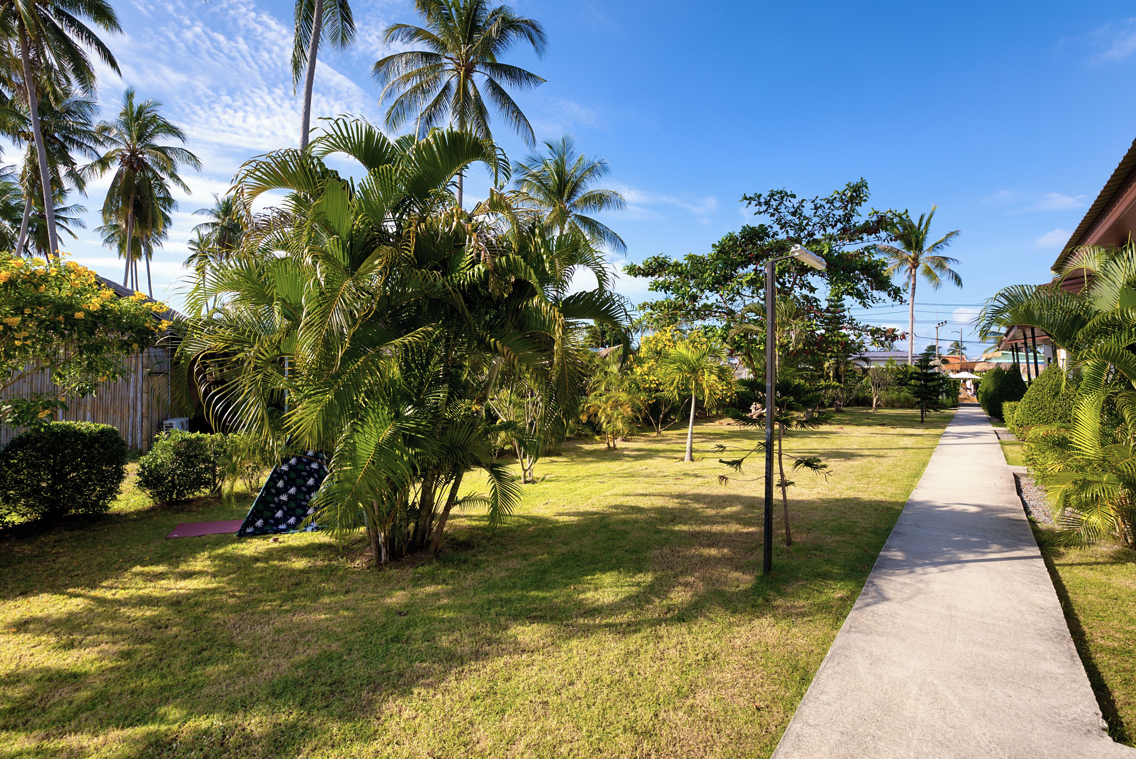 Maya Resort