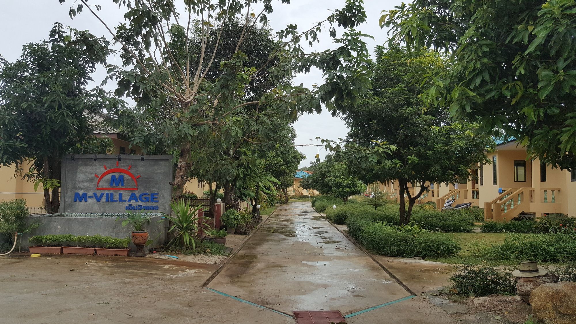 M-Village