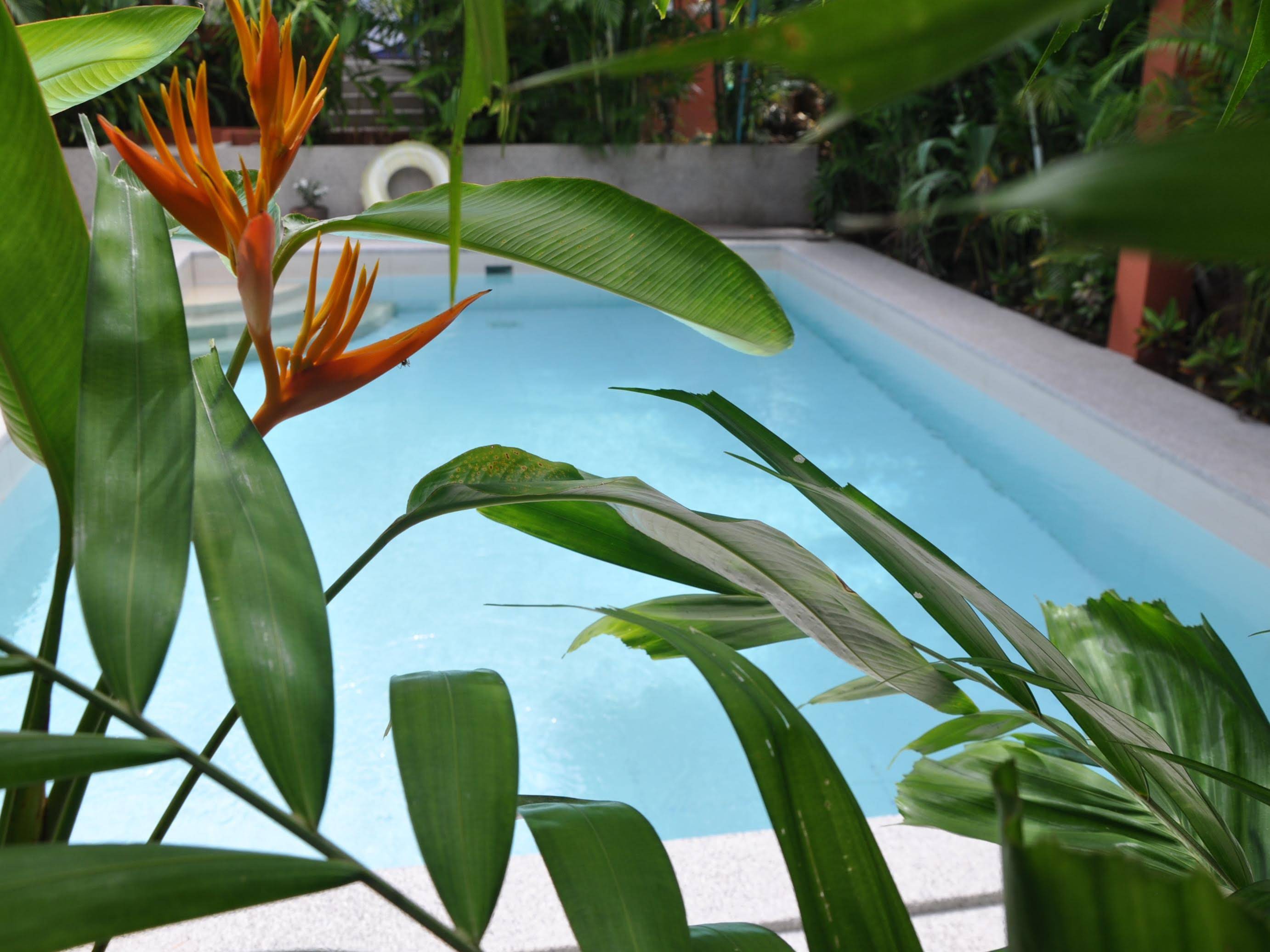 Sallamai Resort