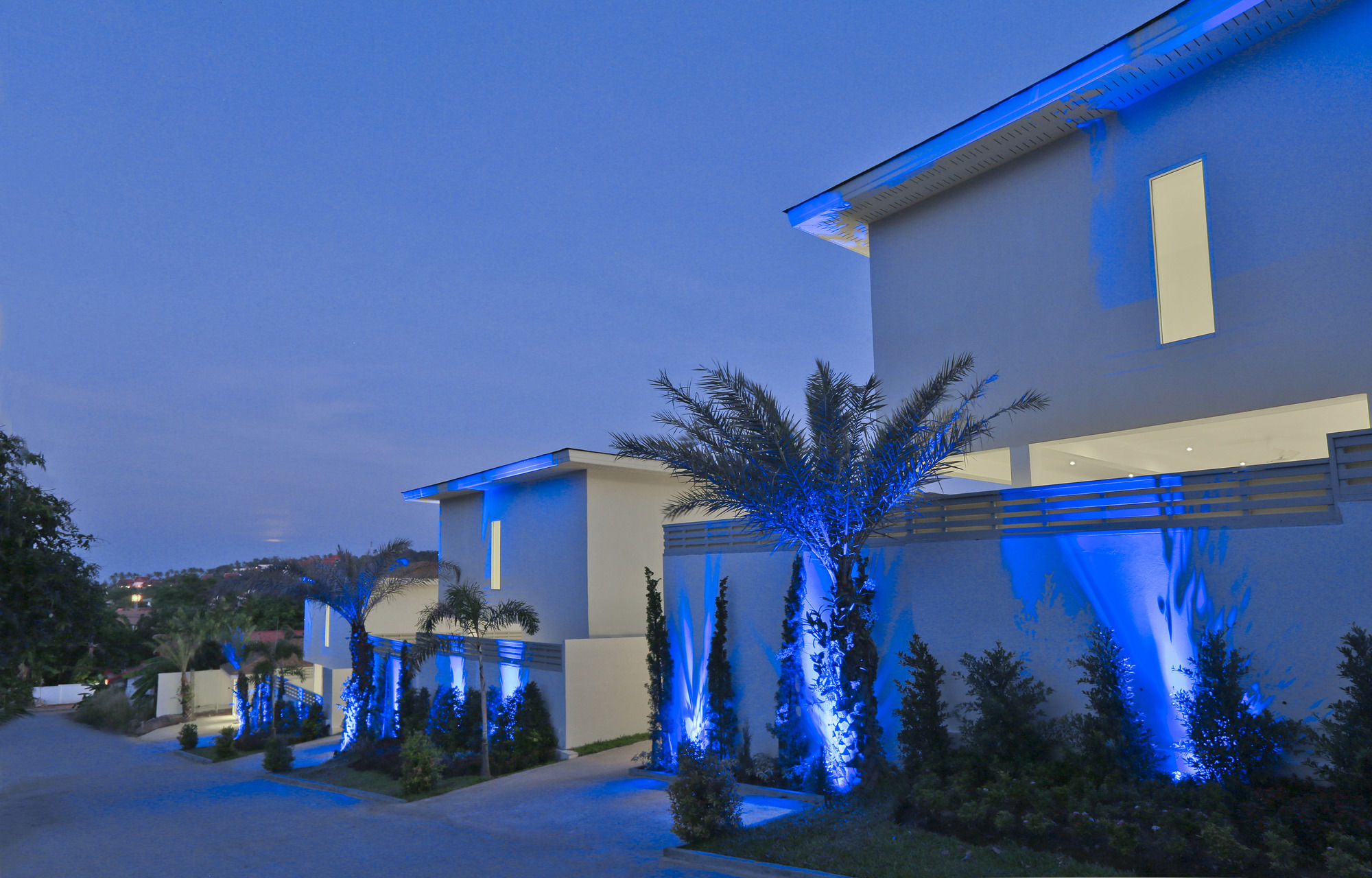 Samui Blue Orchid