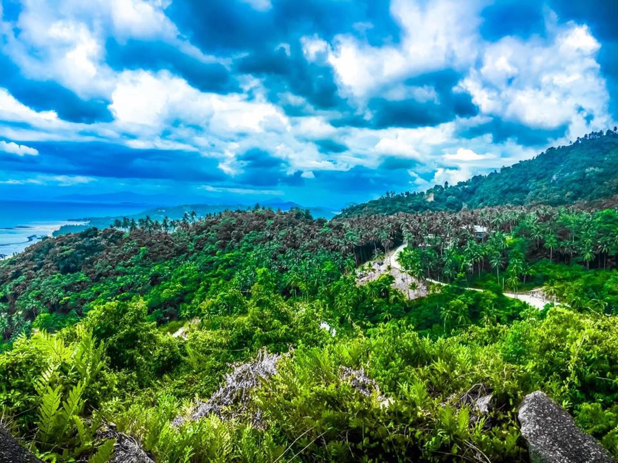 Samui Green Palm Resort