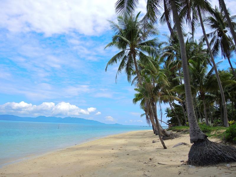 Samui Tropical Resort