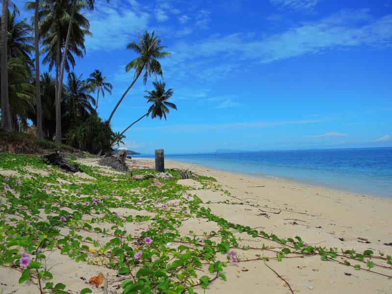 Samui Tropical Resort