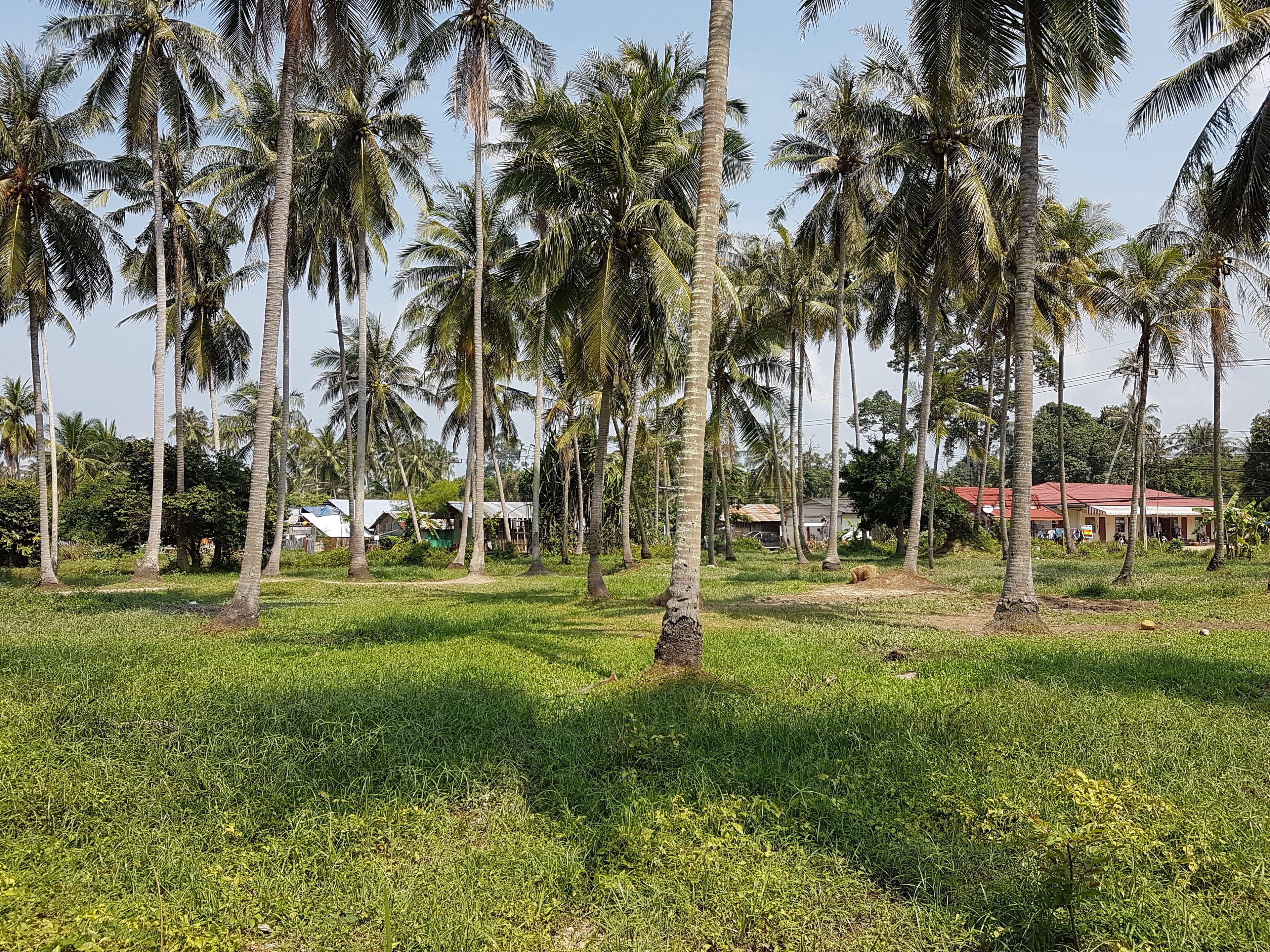 Samui Zenity Hotel