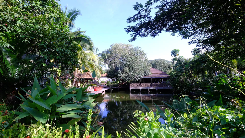 Save House Resort