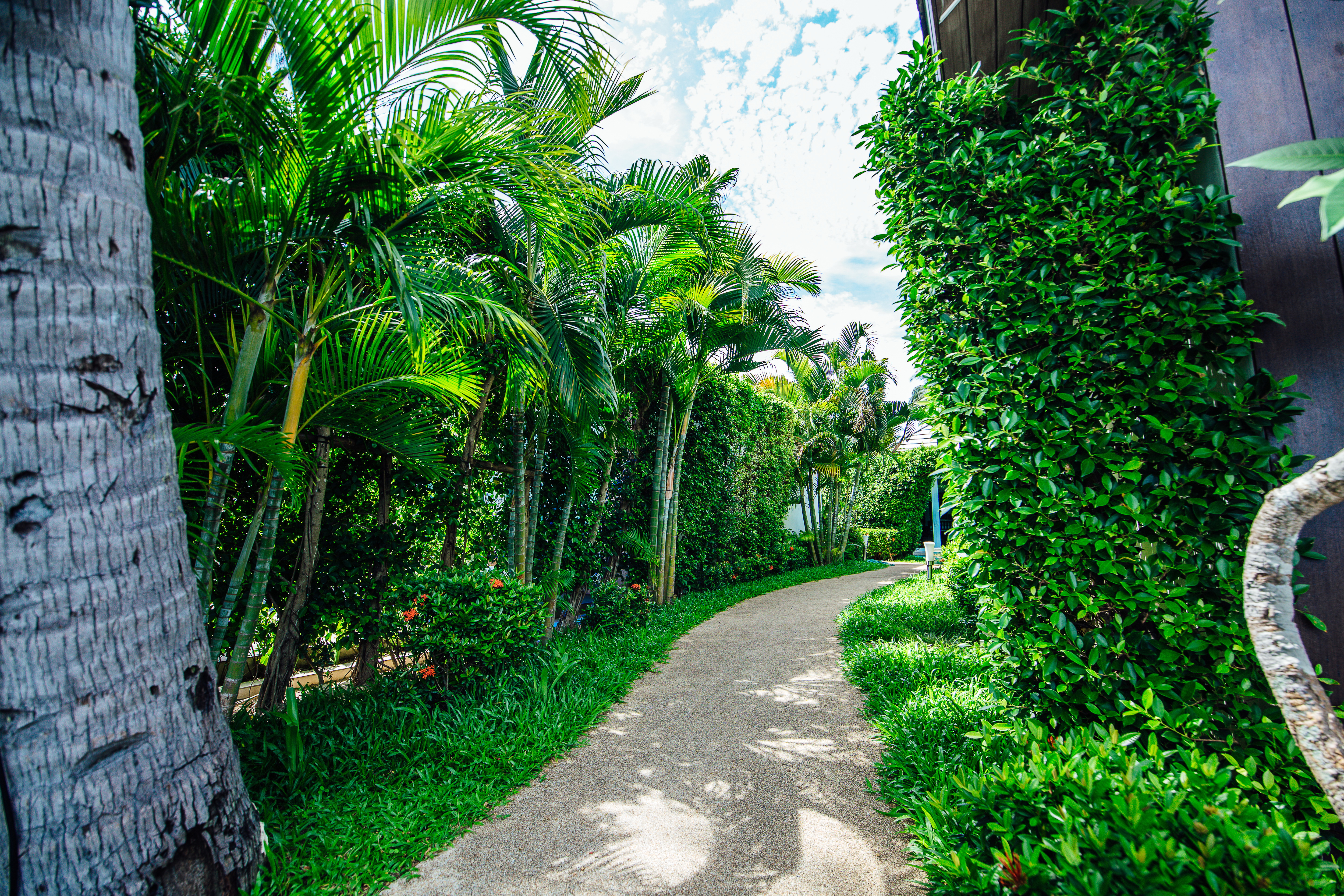 Sea Valley And Spa Samui