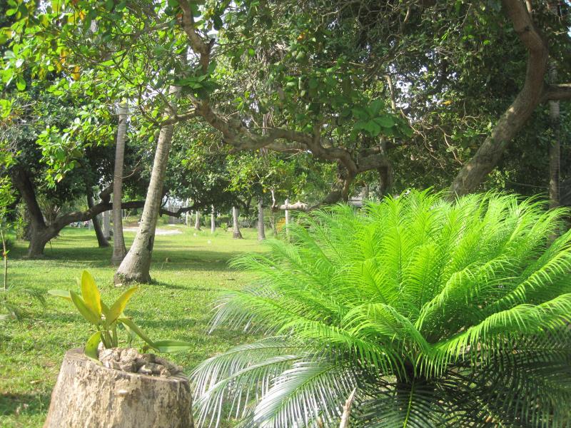 Sira Sarai Garden Home
