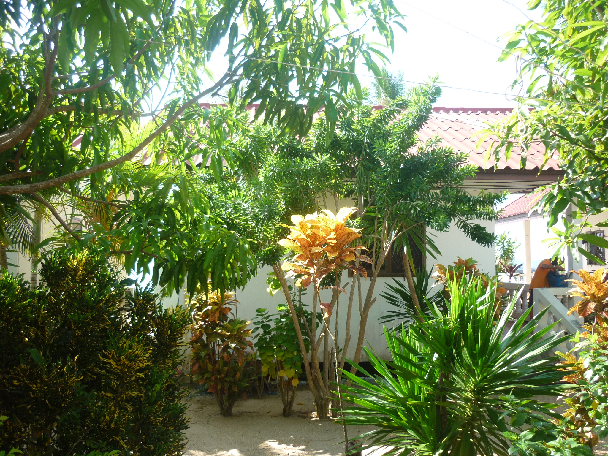 Tapee Resort