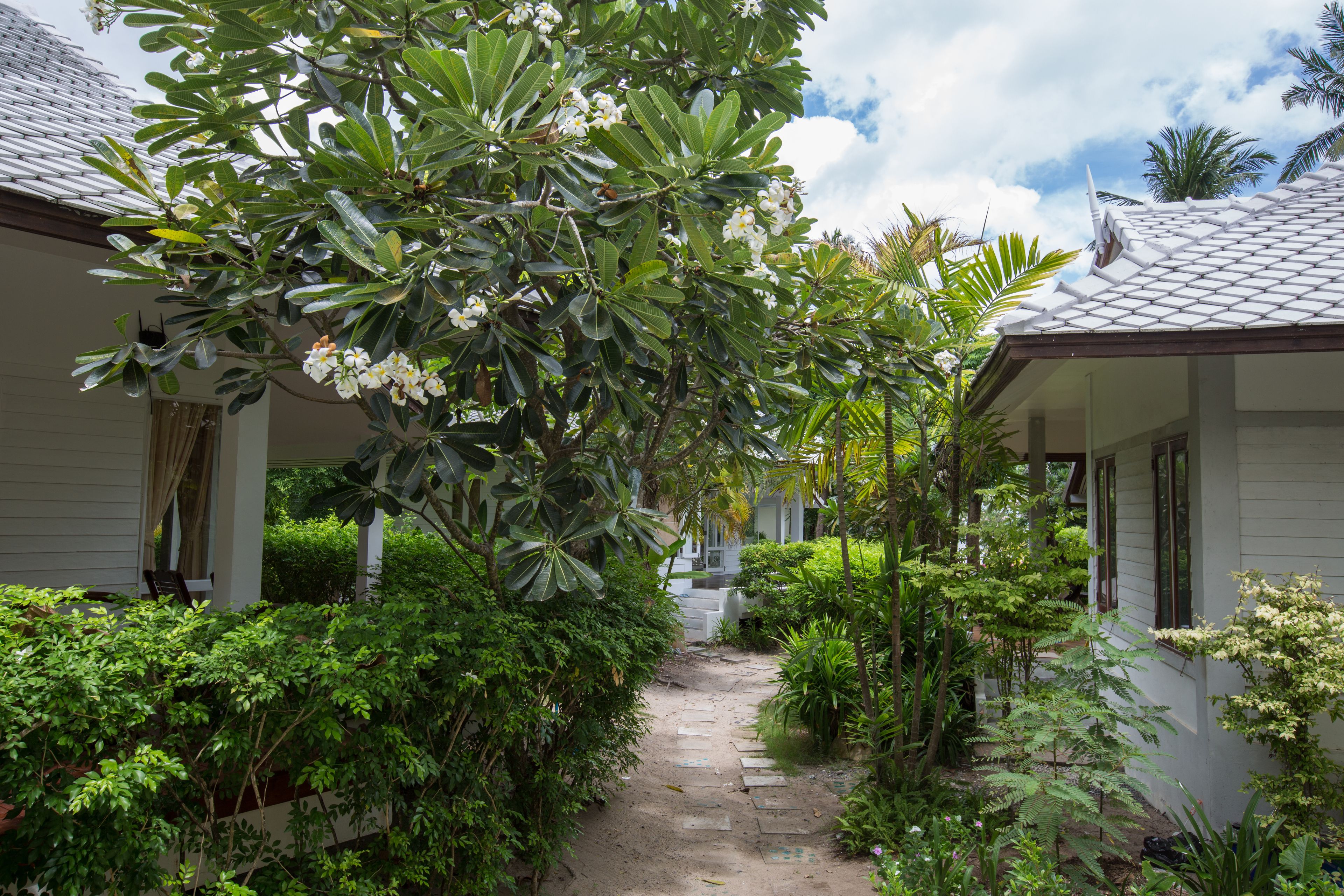 The Beach House