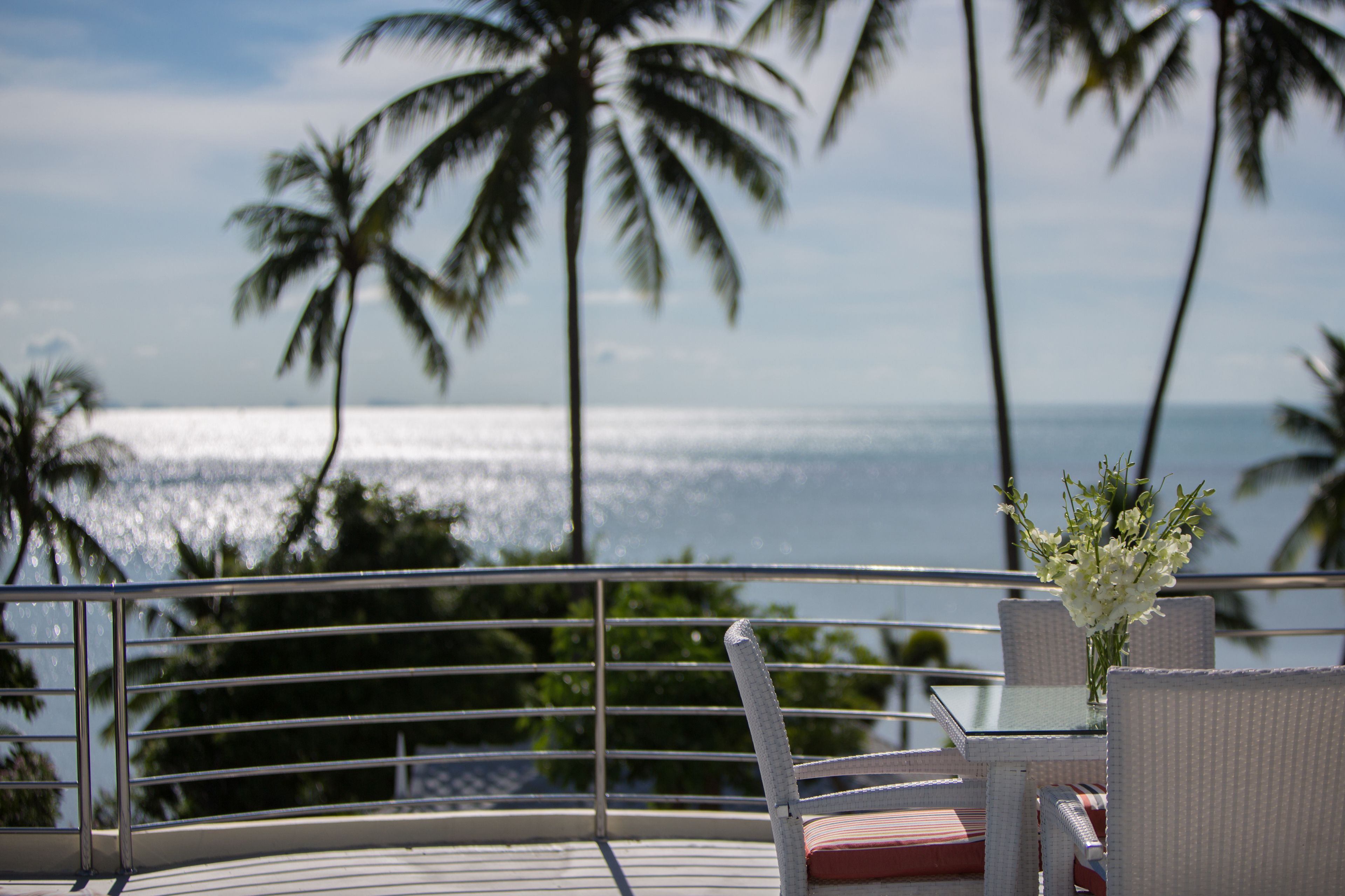 The Beach House