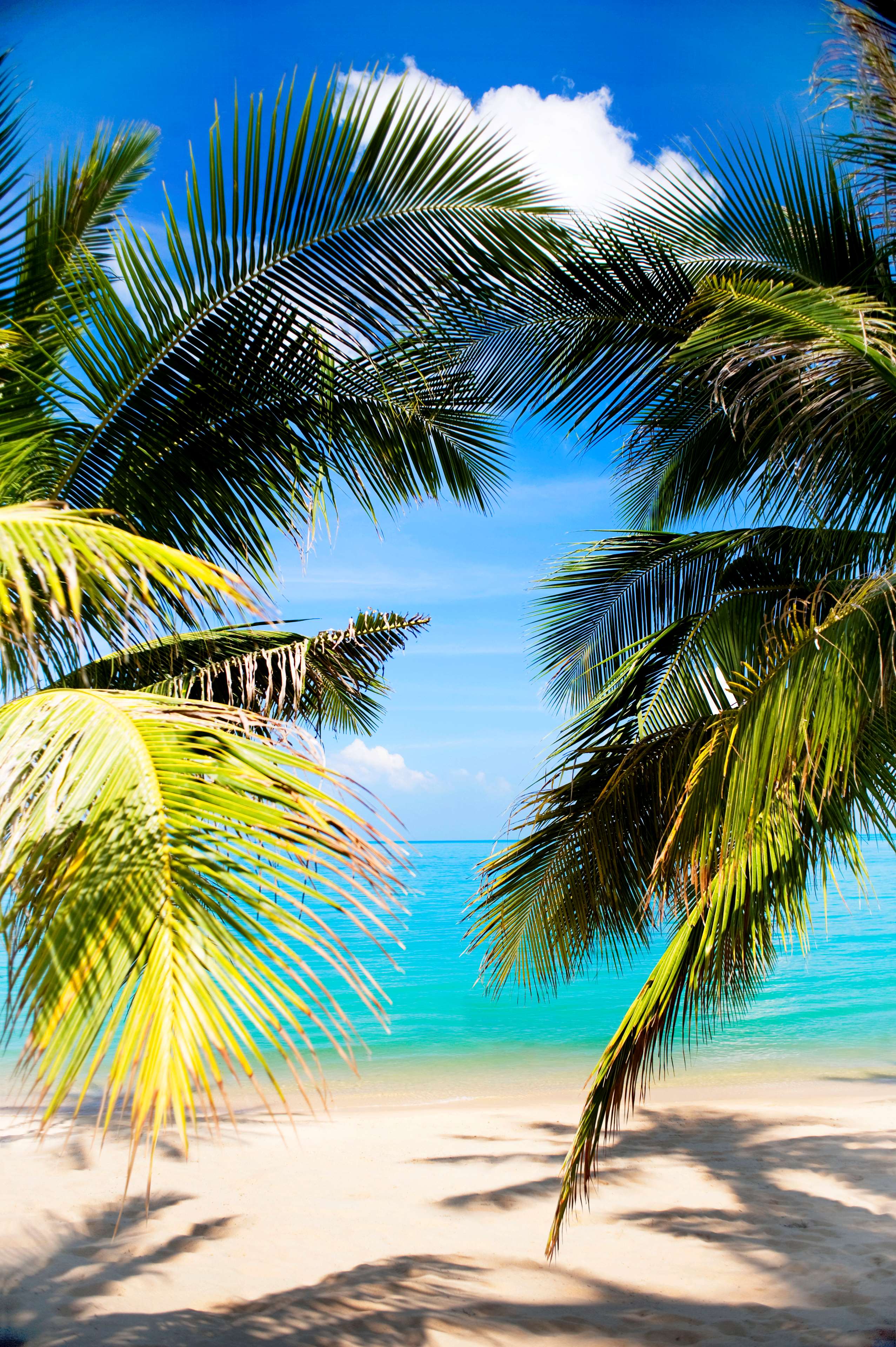 W Koh Samui