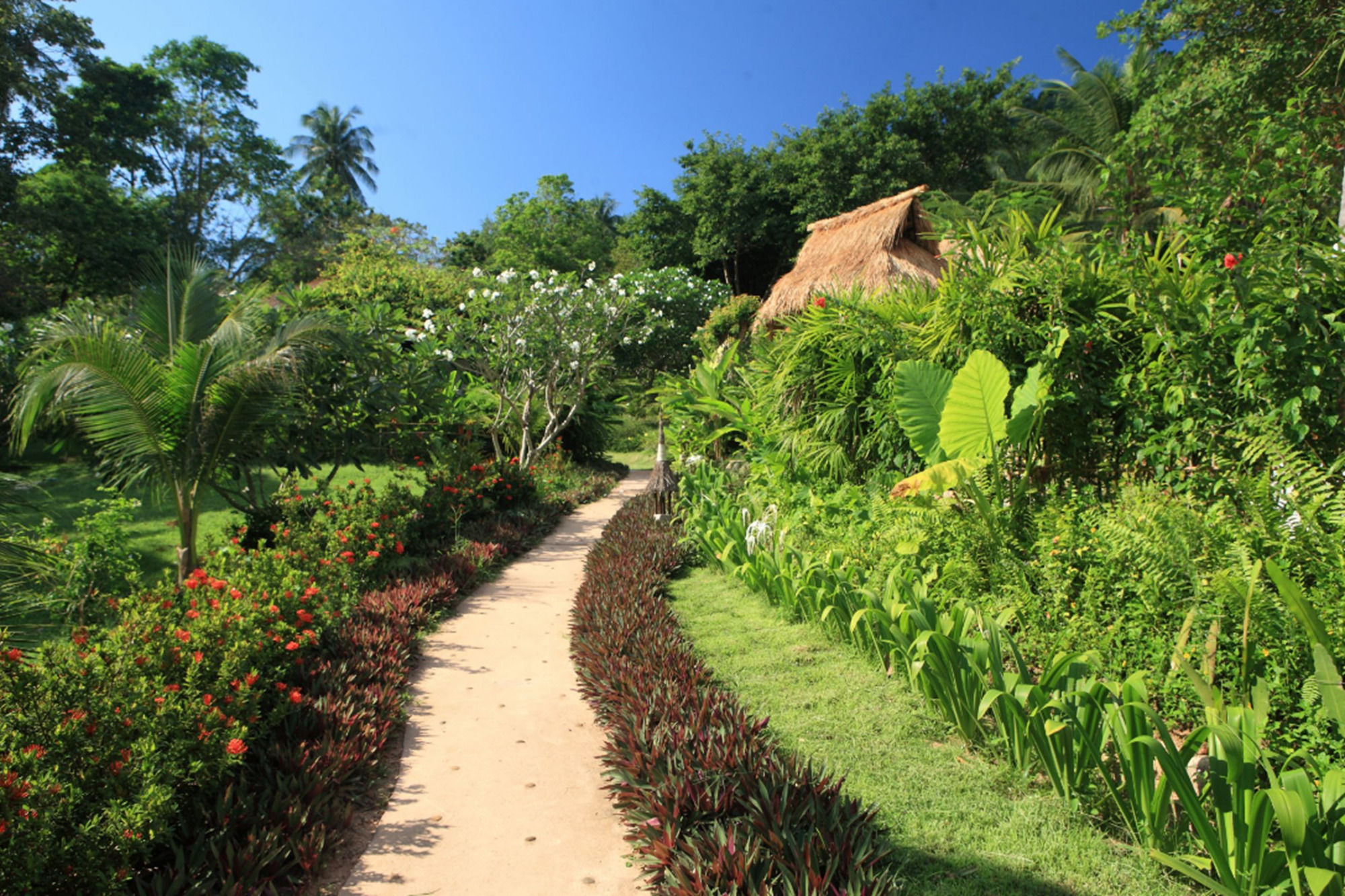 Koh Tao Cabana
