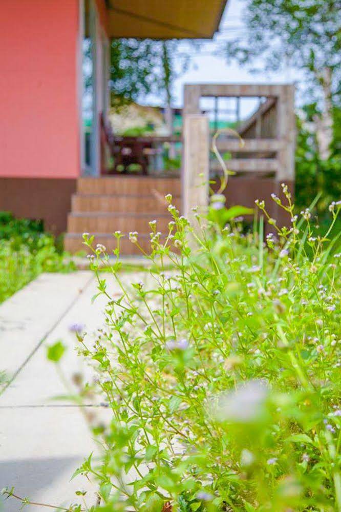 Koh Tao Garden Resort