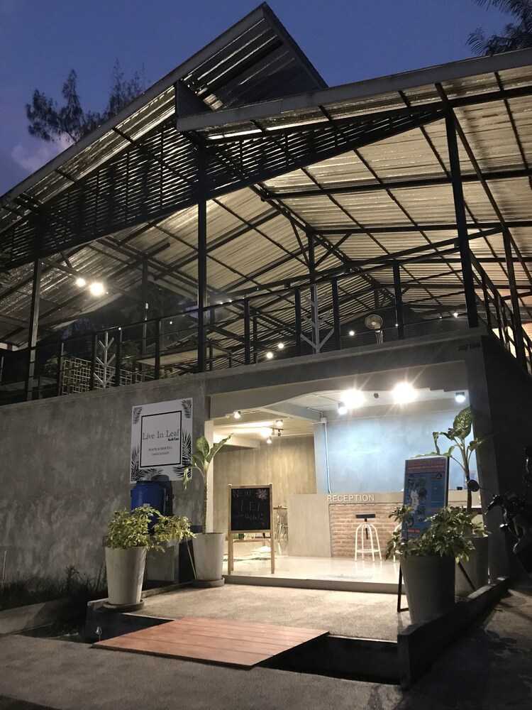 Live In Leaf KohTao - Hostel