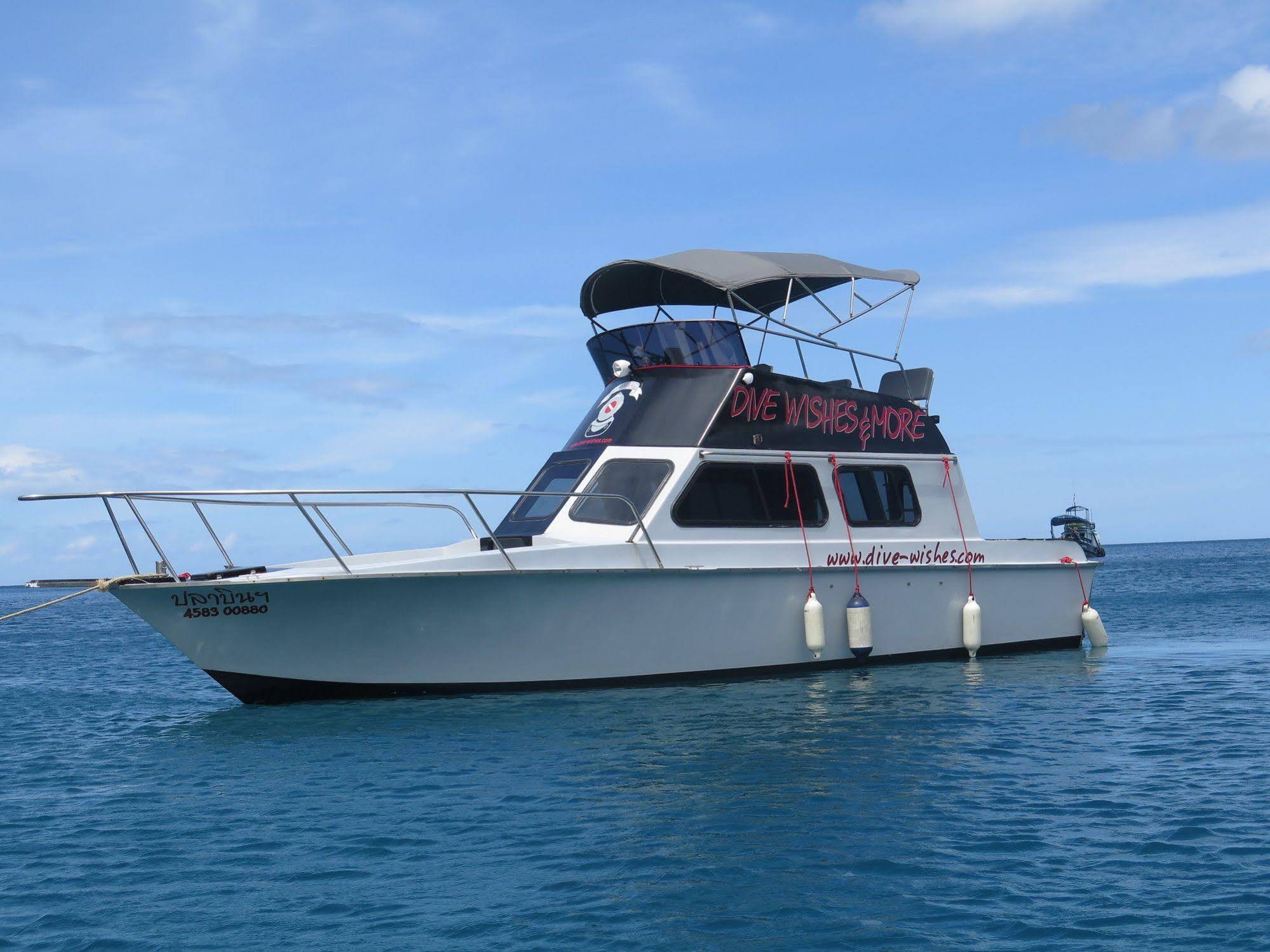 The Miracle Koh Tao