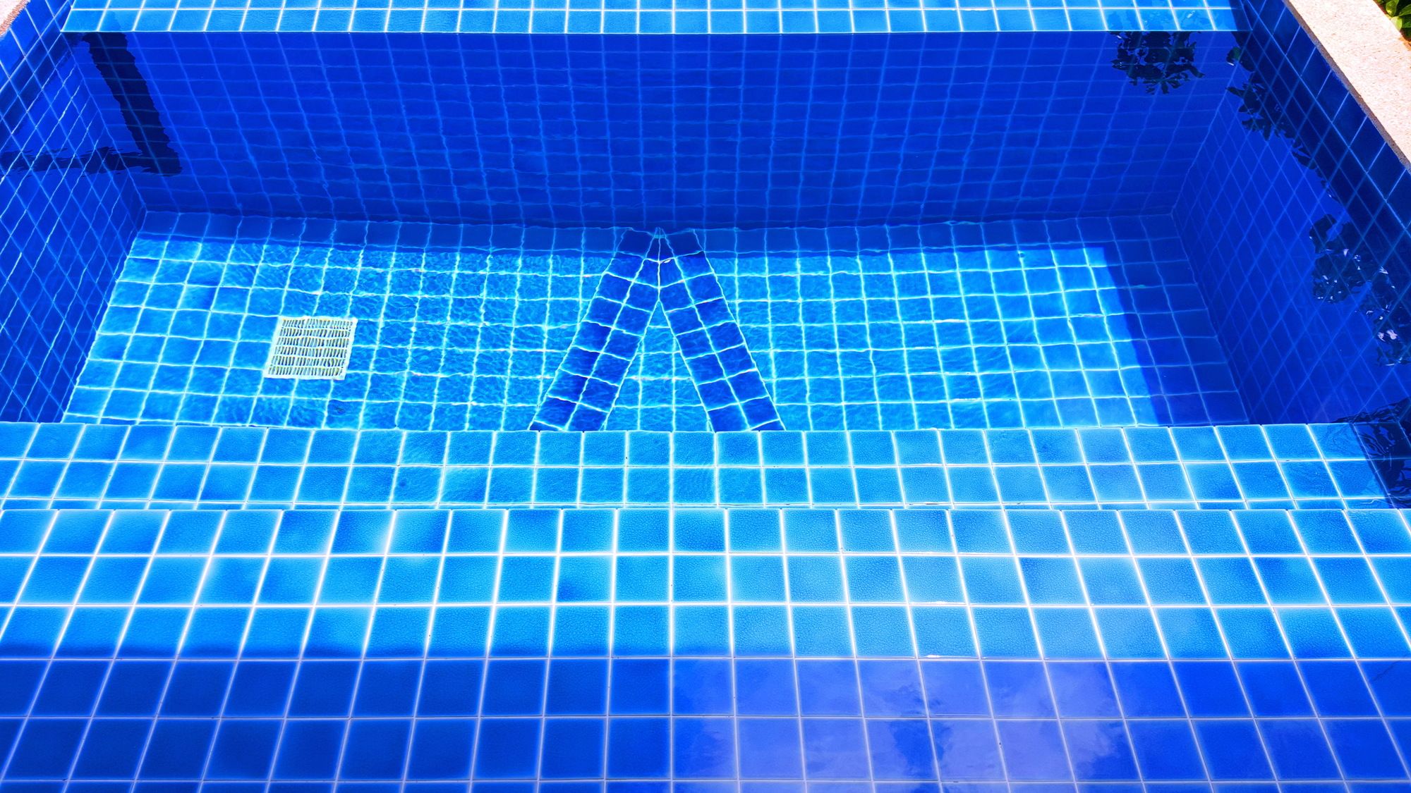 The Place