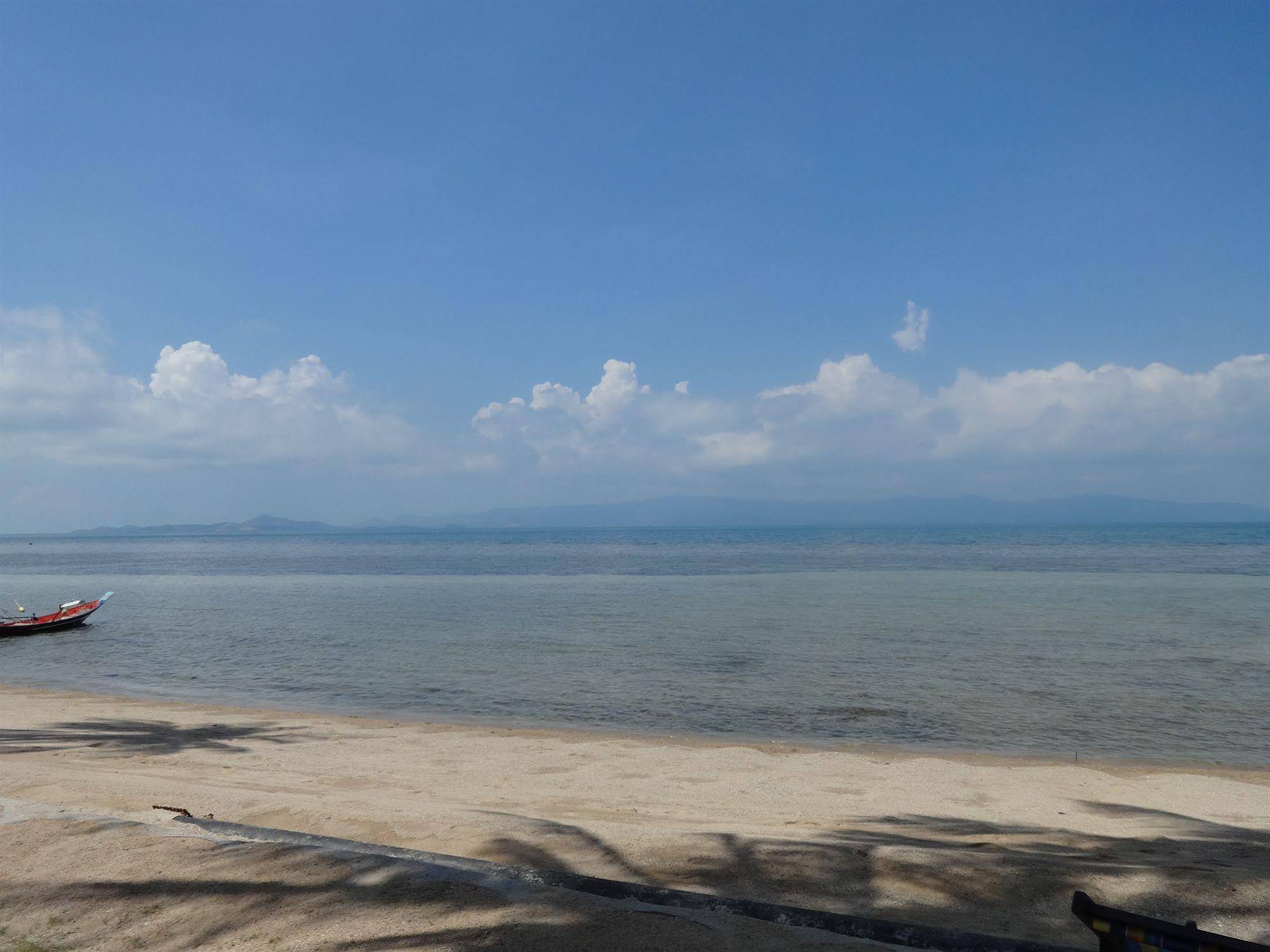 Bird Bungalow