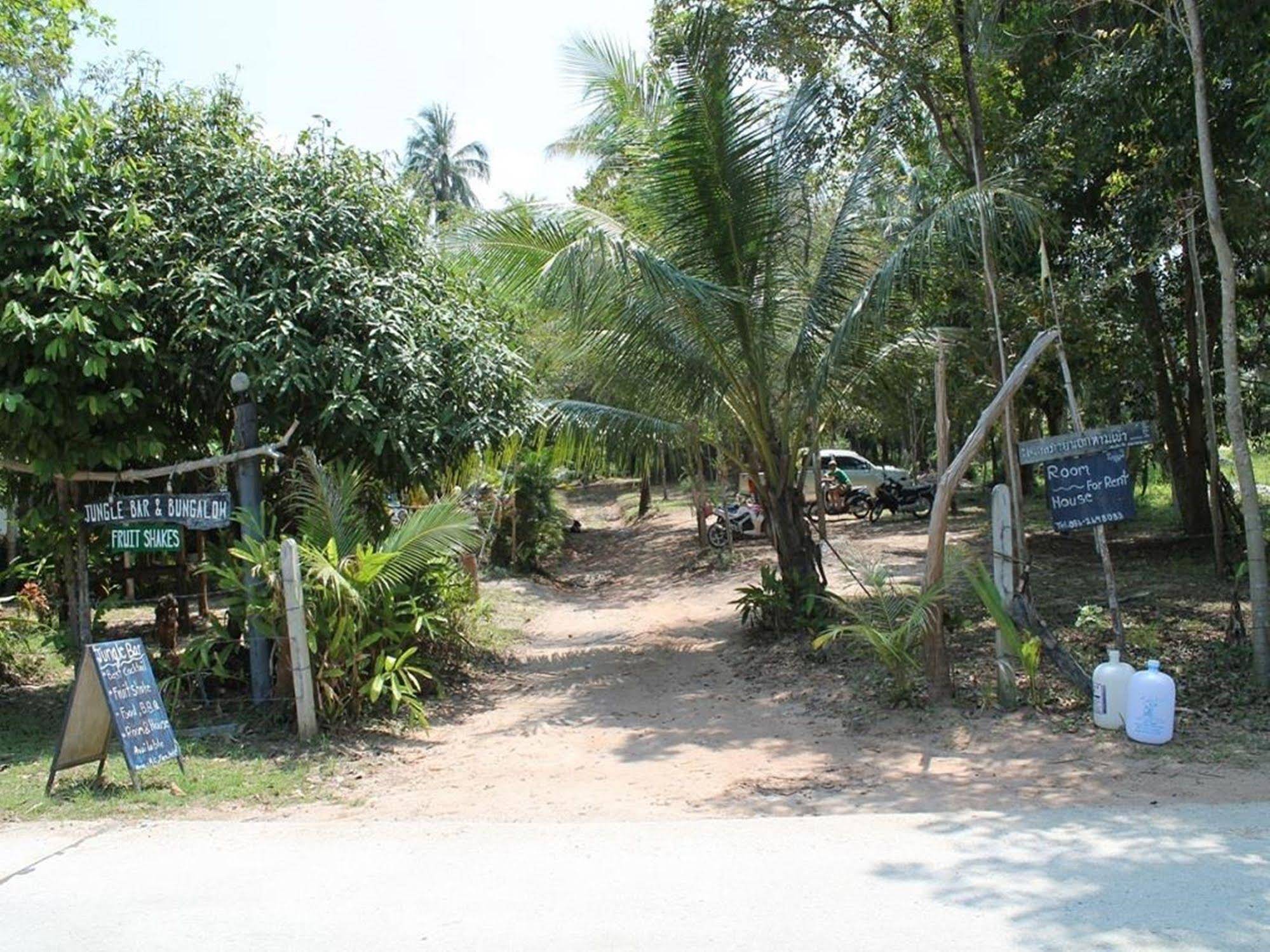 Jungle Bar & Bungalow