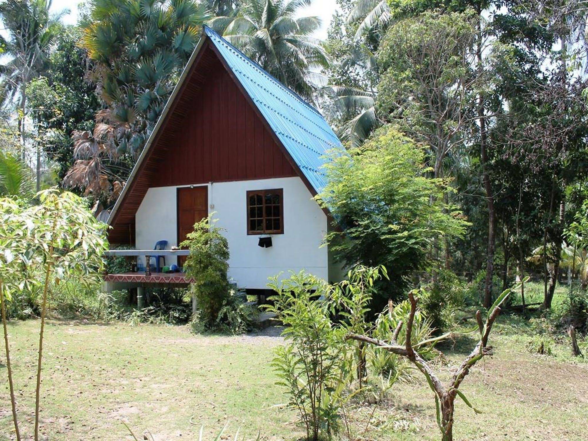 Jungle Bar & Bungalow