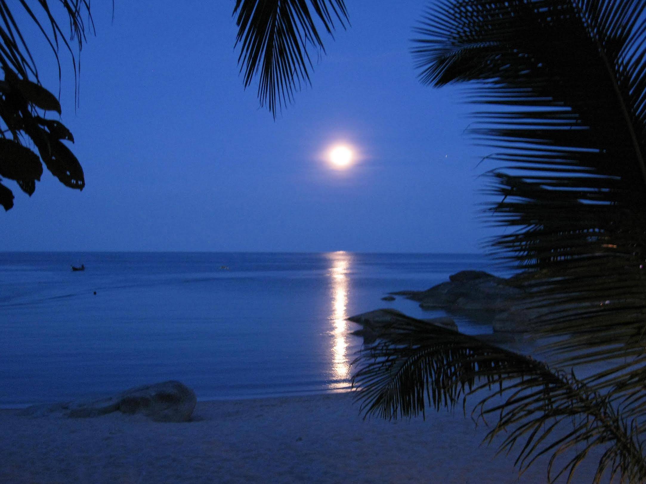 Koh Phangan Pavilions
