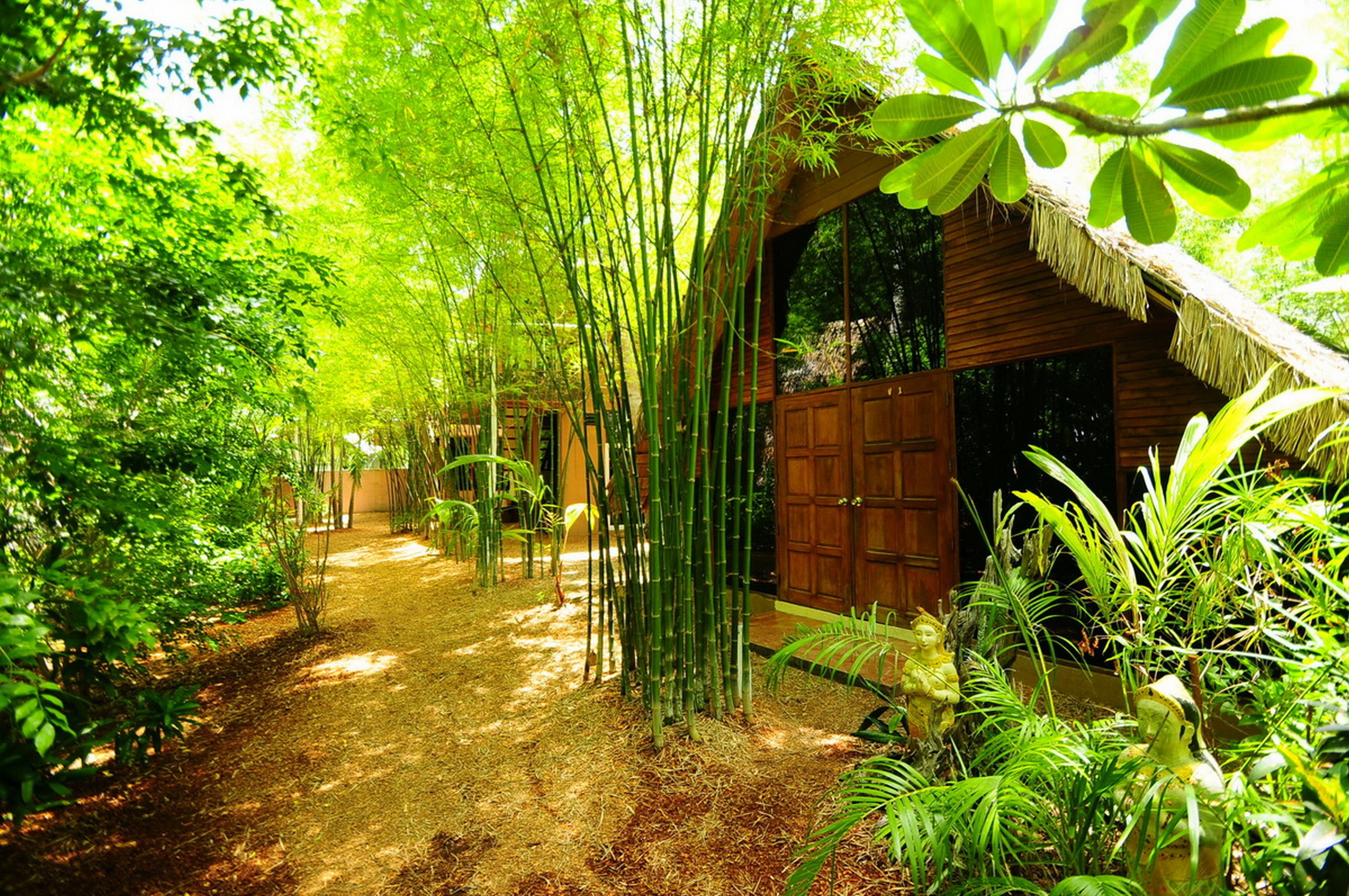 Milky Bay Resort
