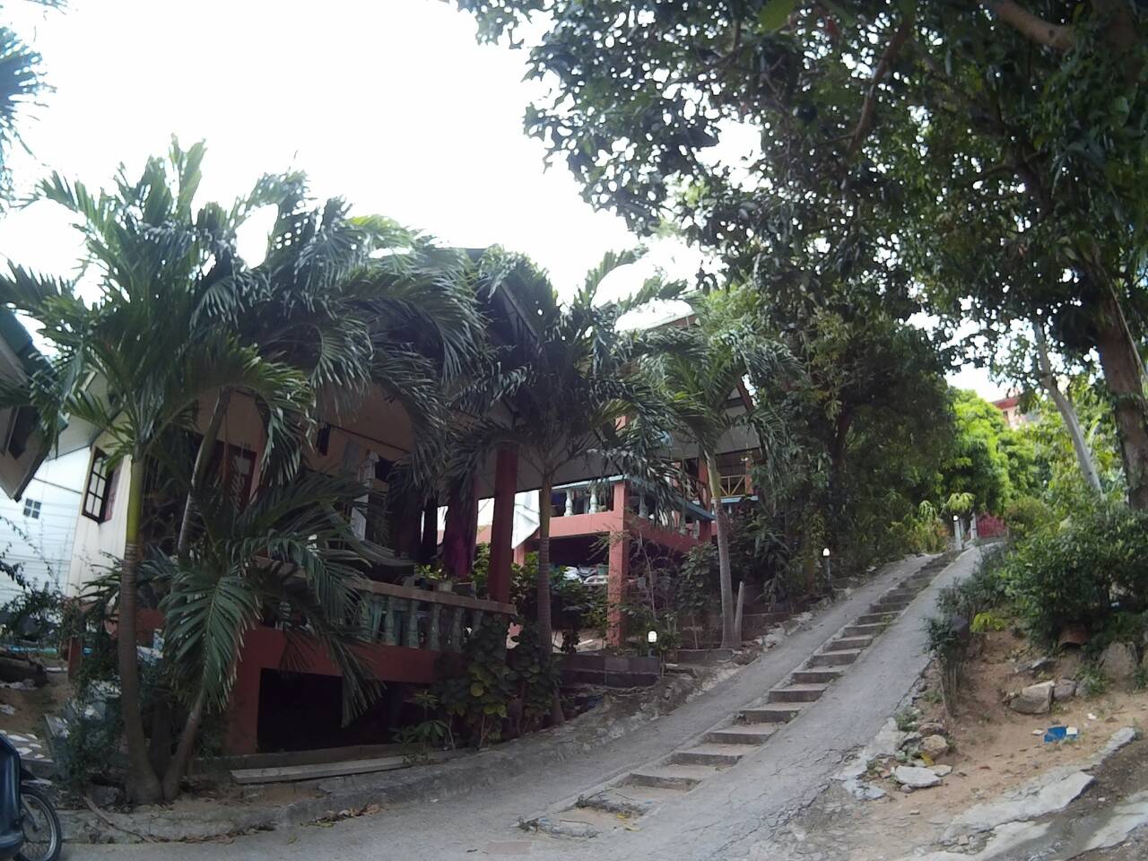 Modern Resort