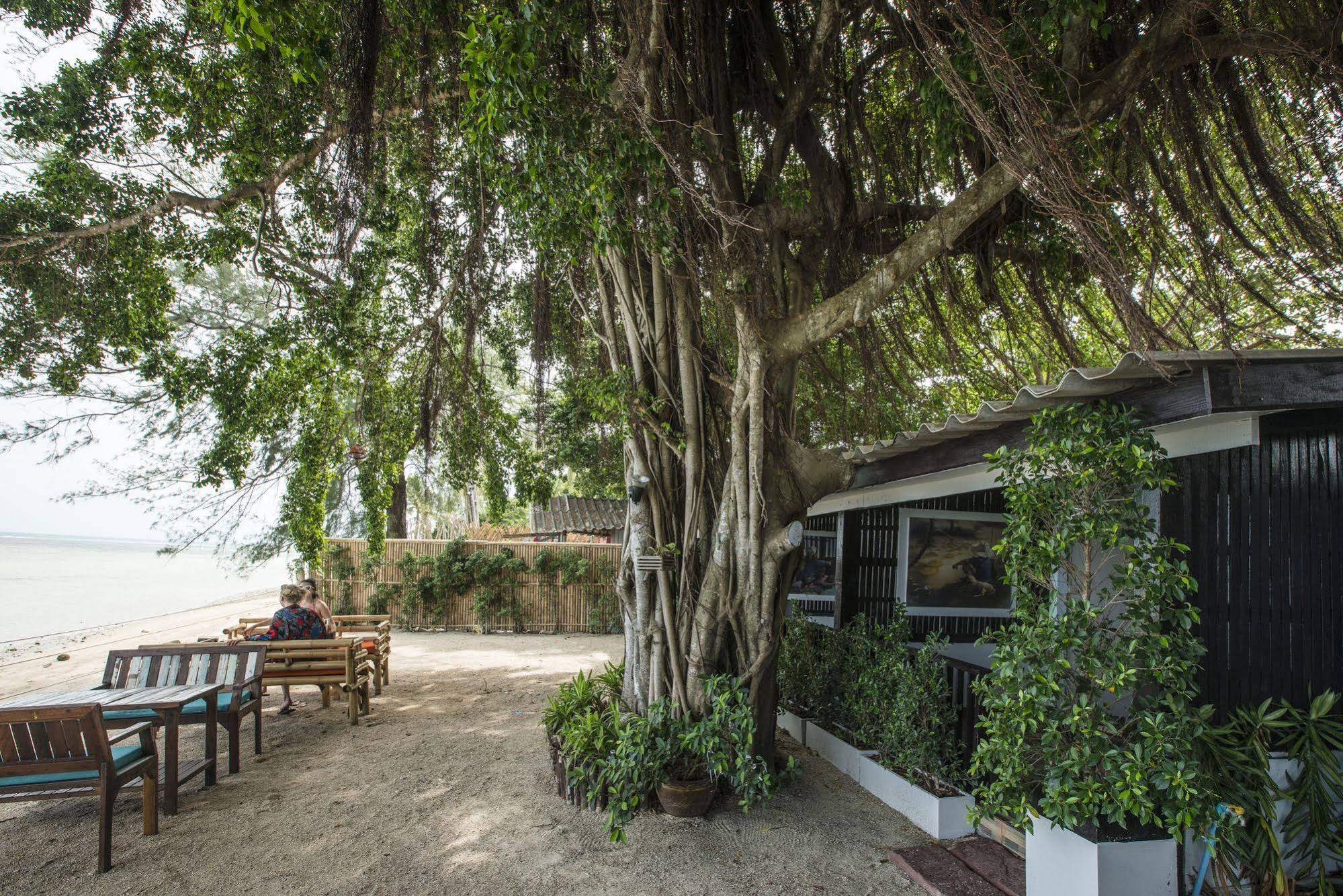Mikasa Beach House Koh Phangan