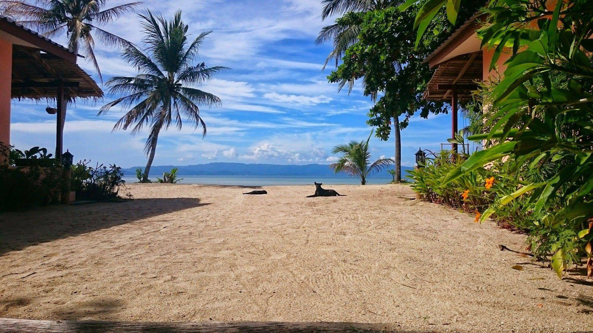Papillon Bungalows