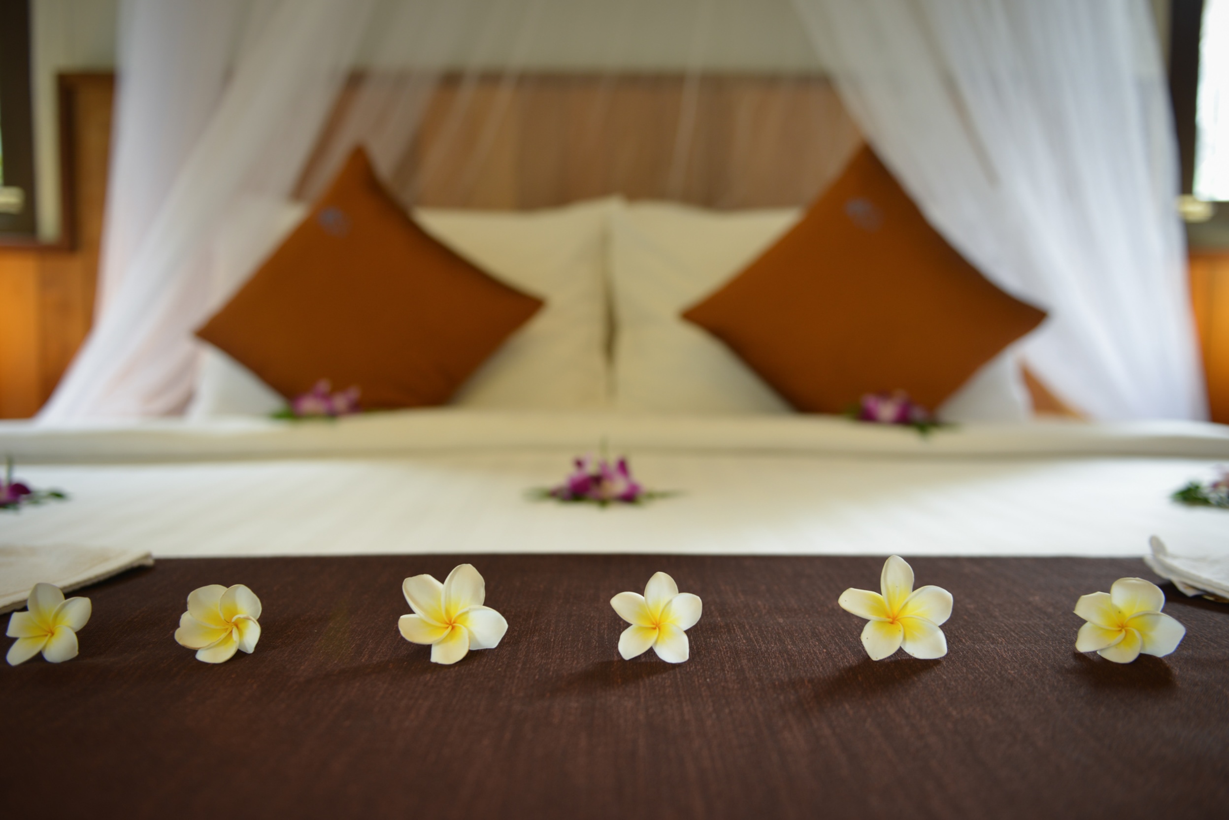 Phangan Bayshore Resort