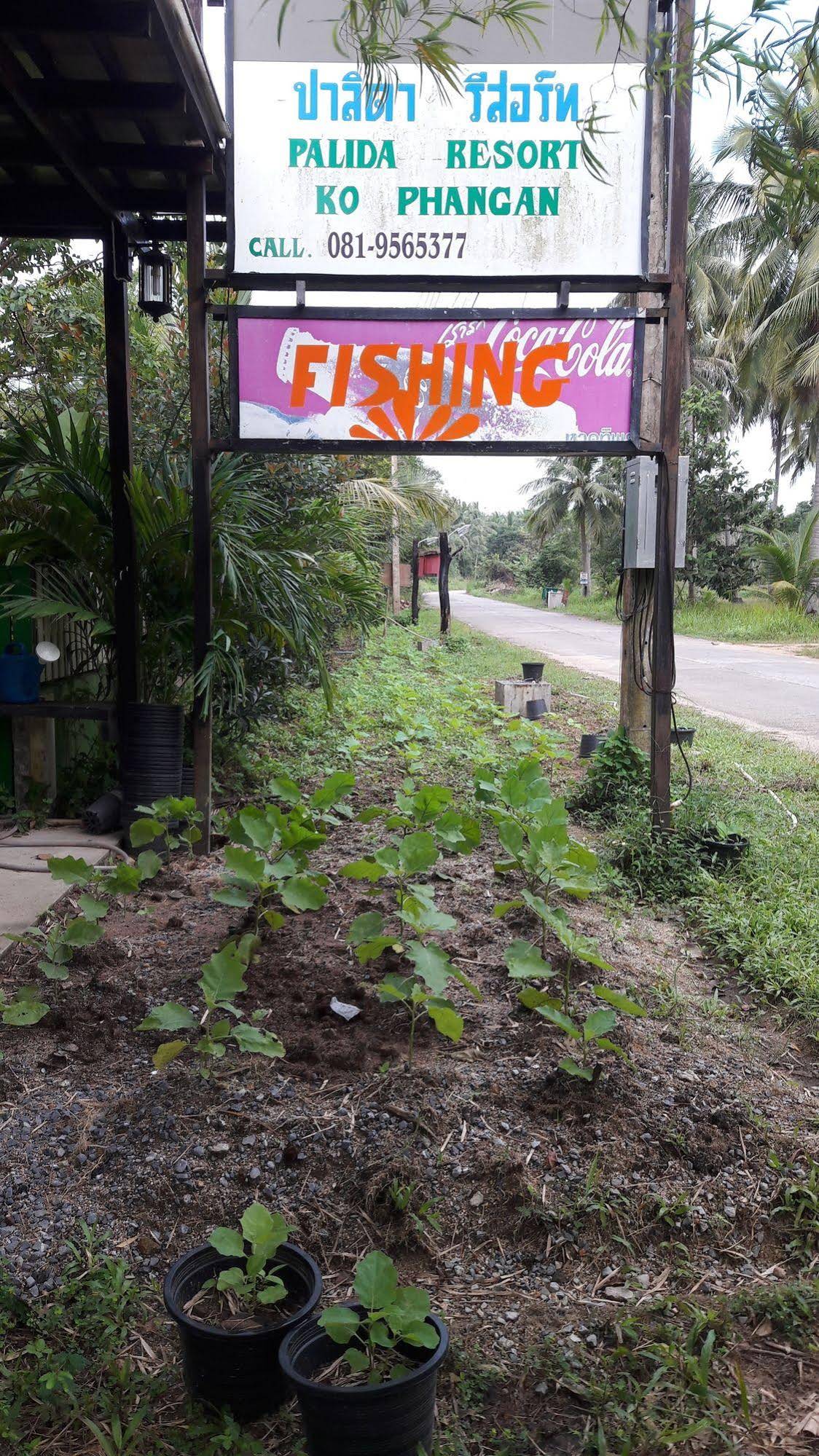 Phangan Farm Stay Resort