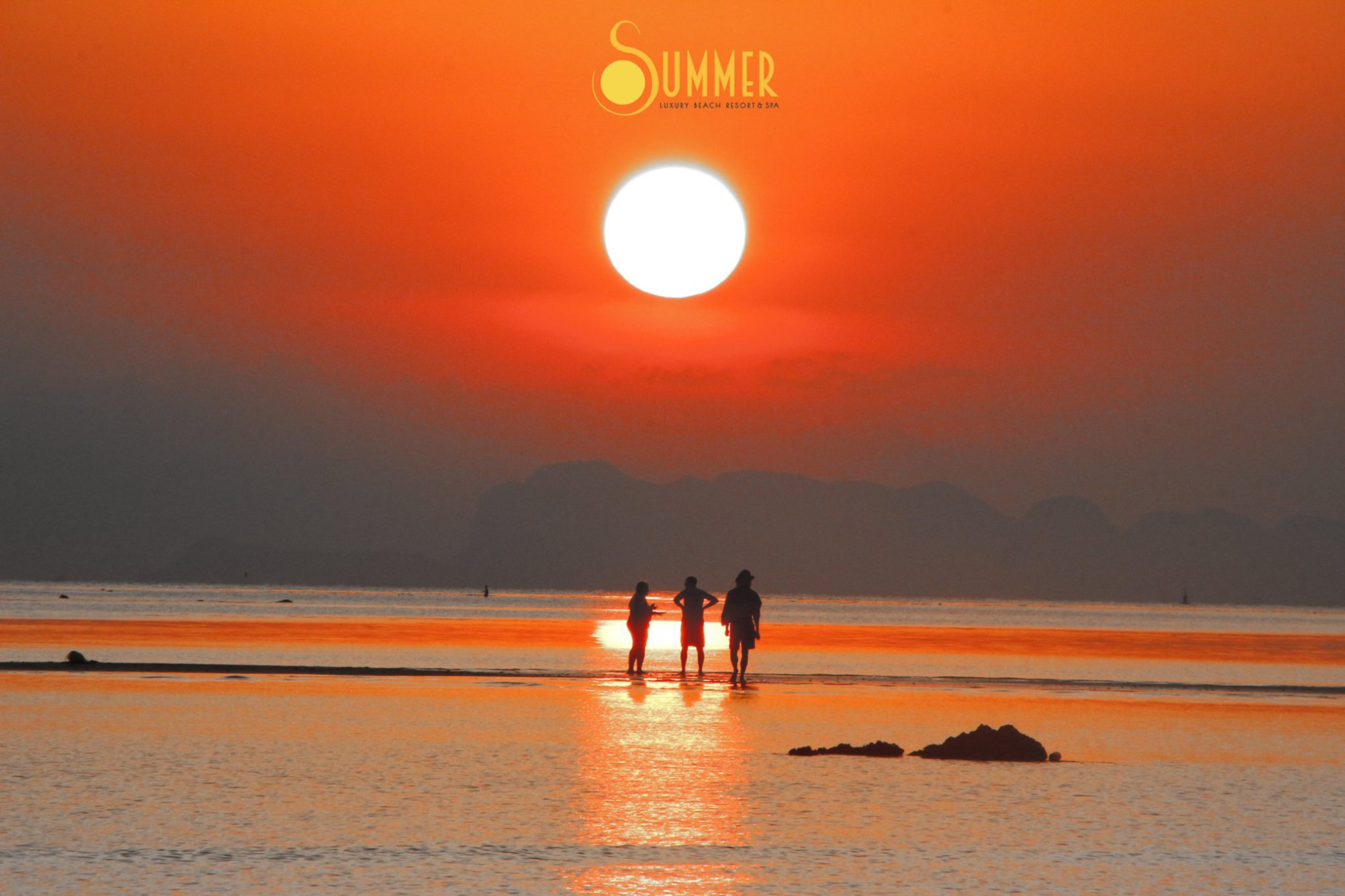 Summer Luxury Beach Resort