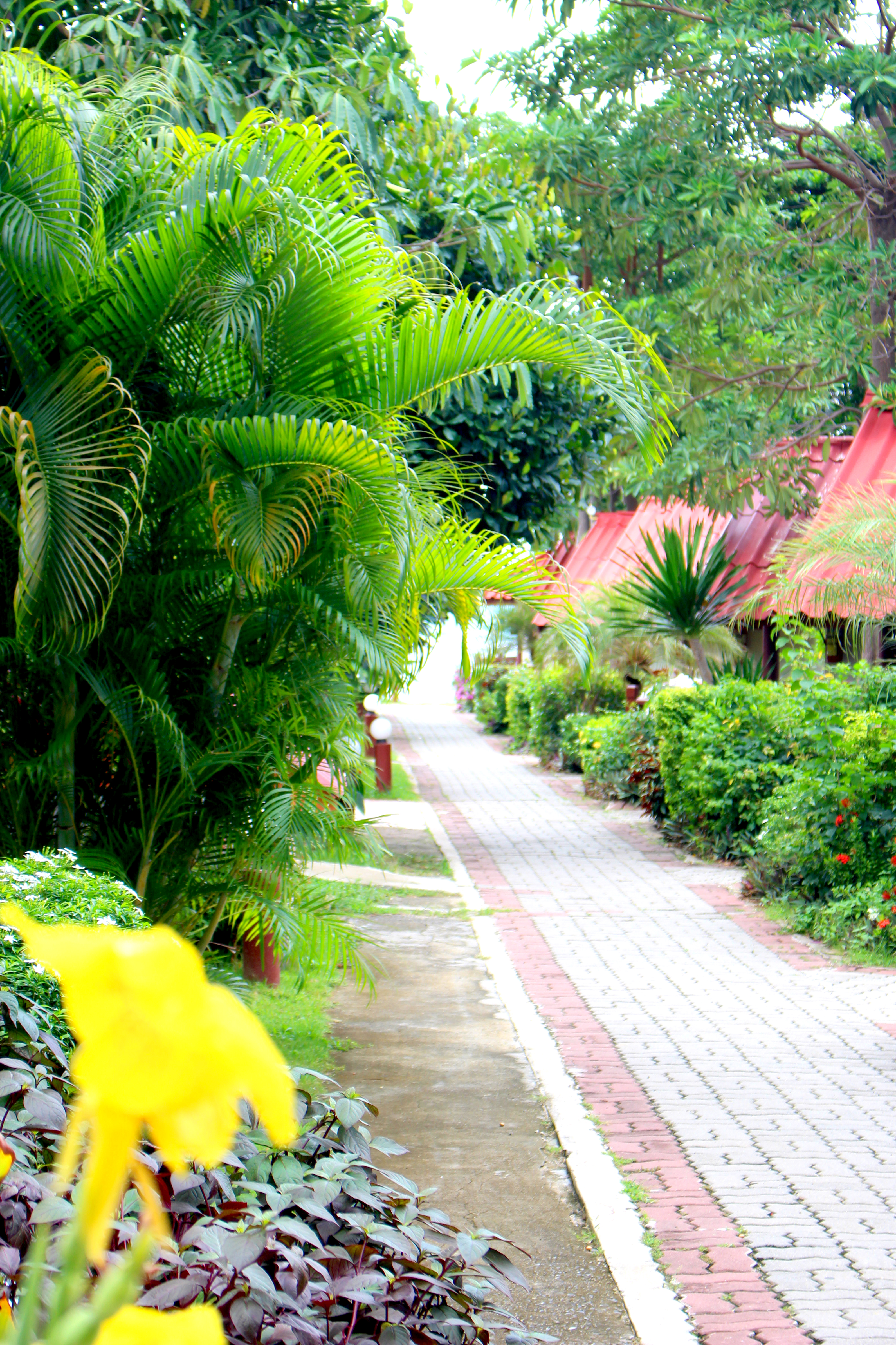 Buri Beach Resort