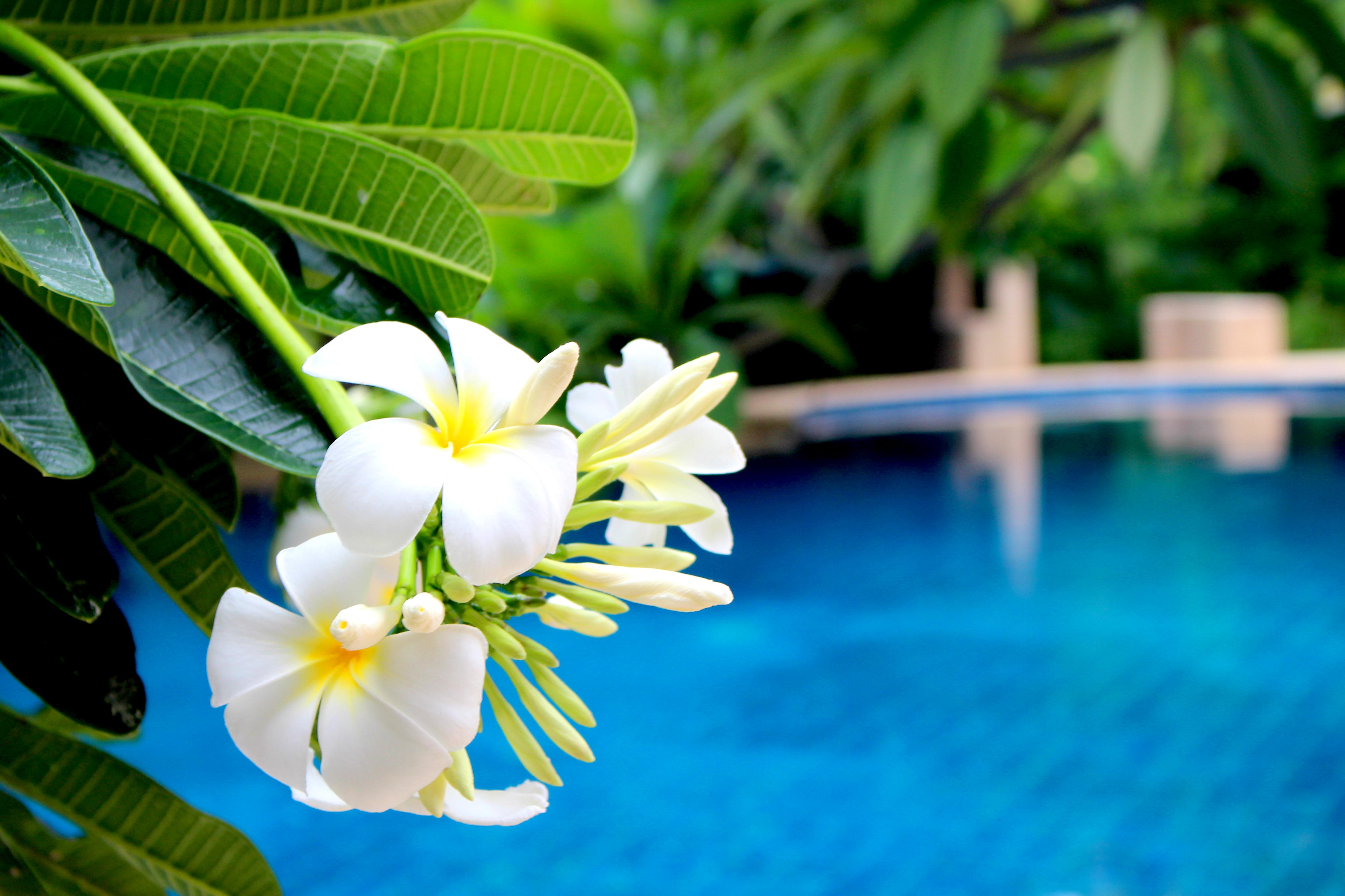 Buri Beach Resort