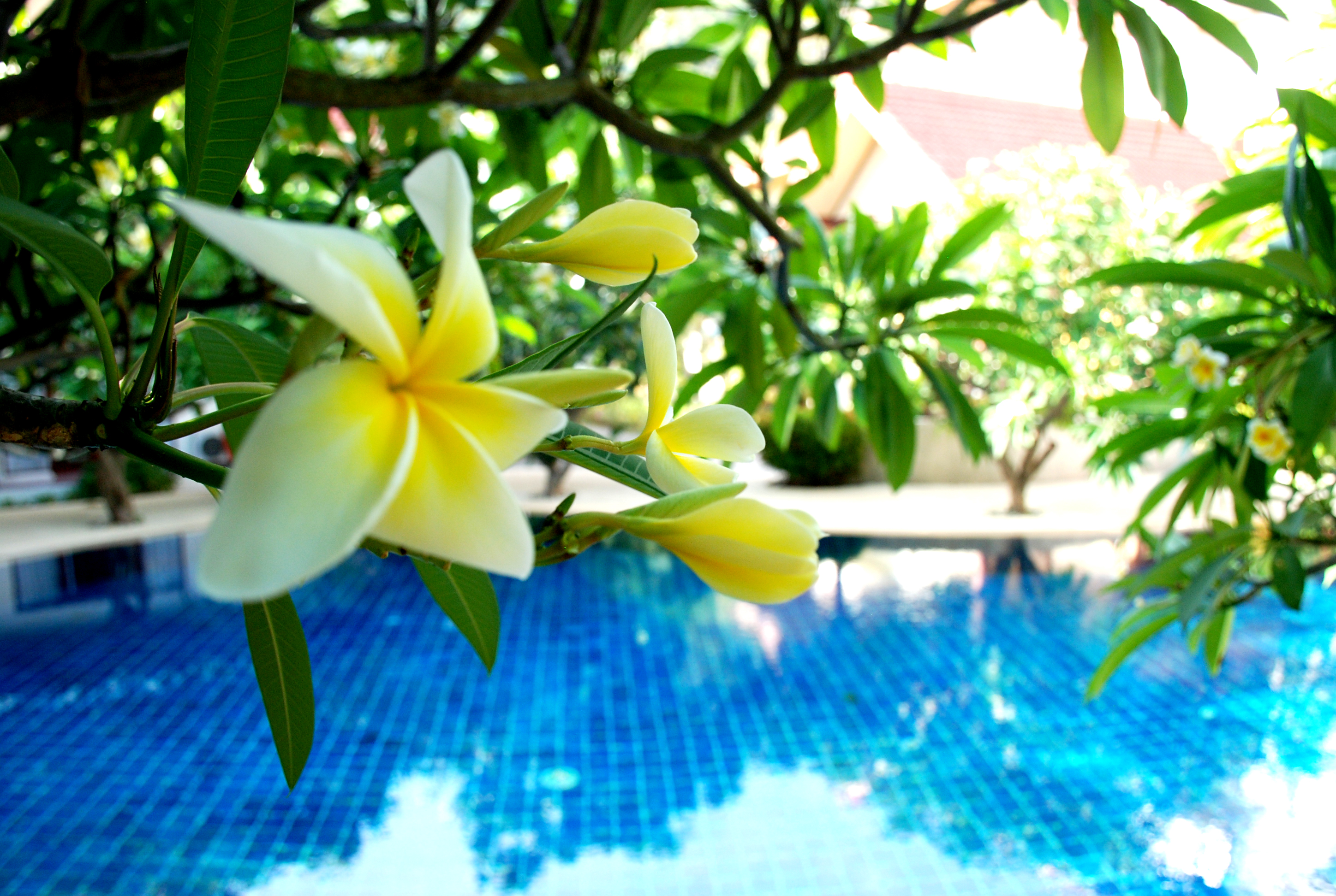 Buri Beach Resort