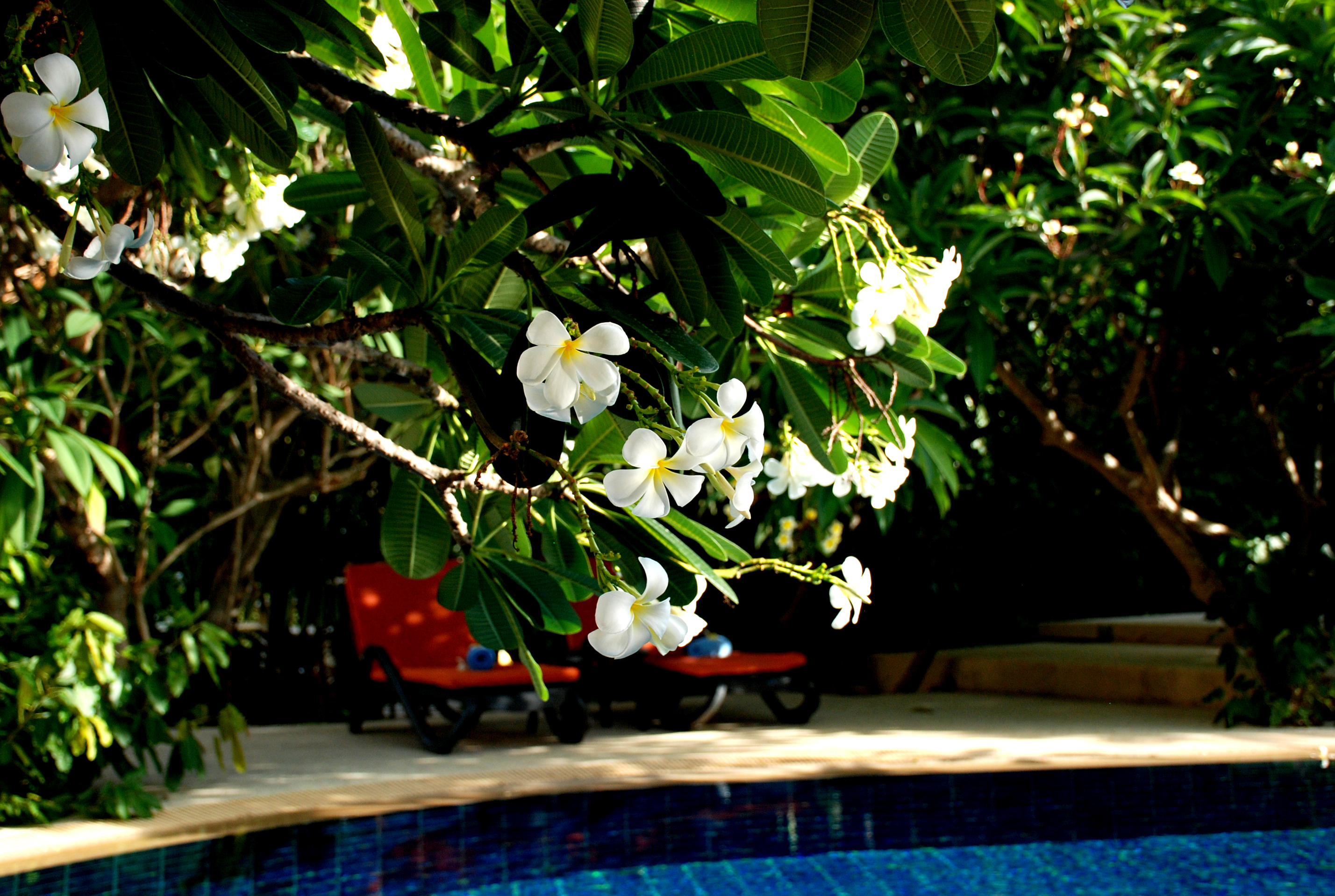 Buri Beach Resort