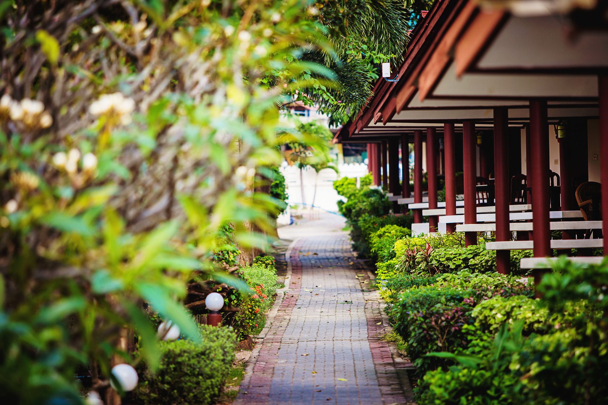 Sunset Beach Club Hotel & Spa