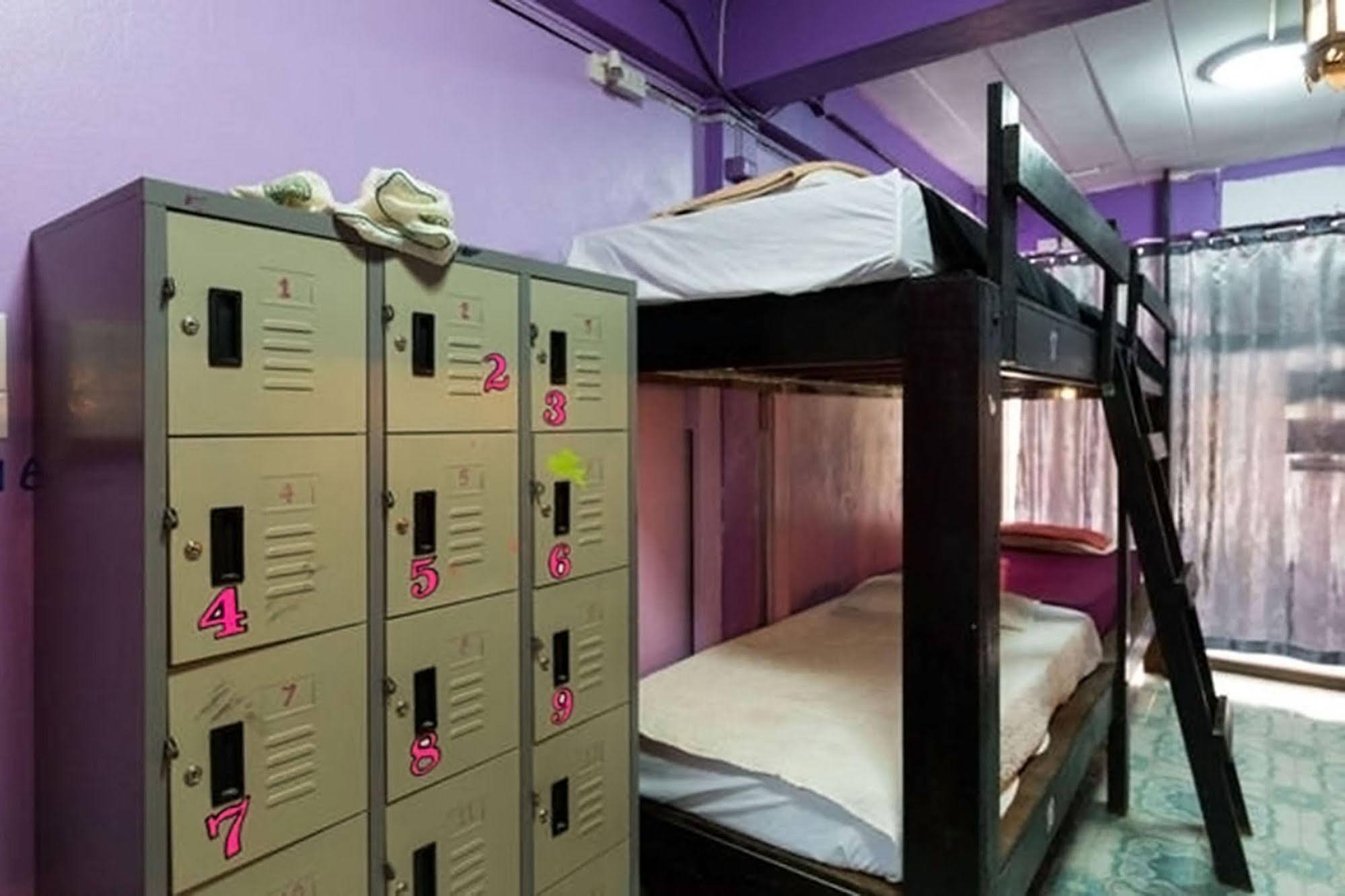 Wild & Wandering Hostel